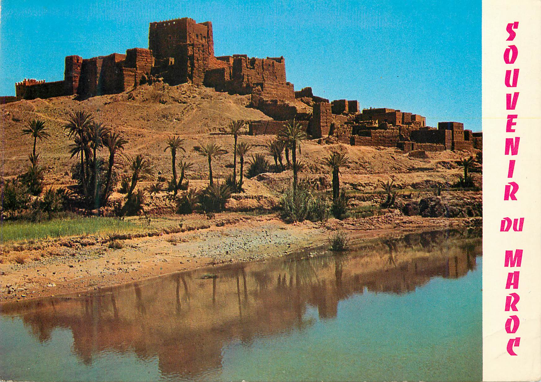CPM Maroc Typique Kasbah dans l Oasis 