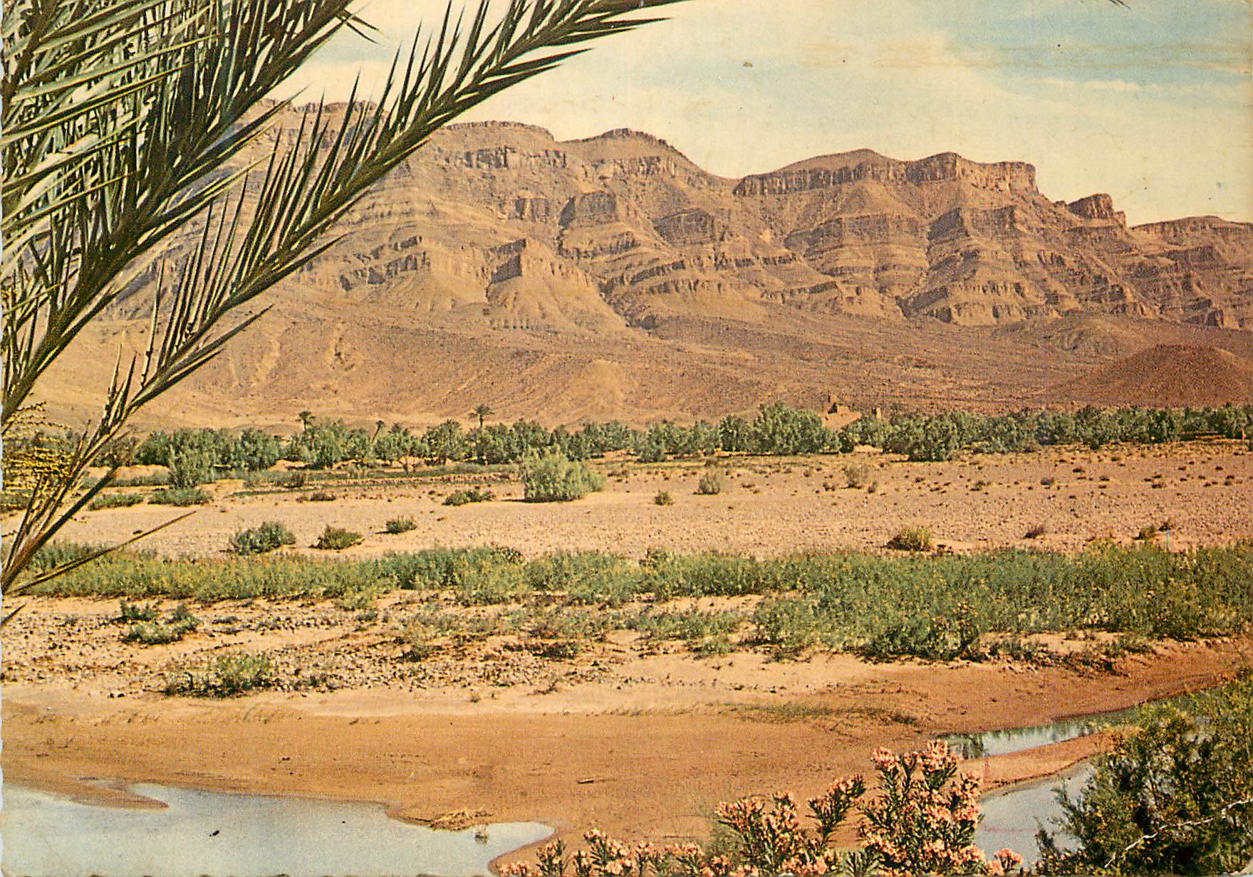 CPM Le Maroc Pittoresque Vallee du Dra 