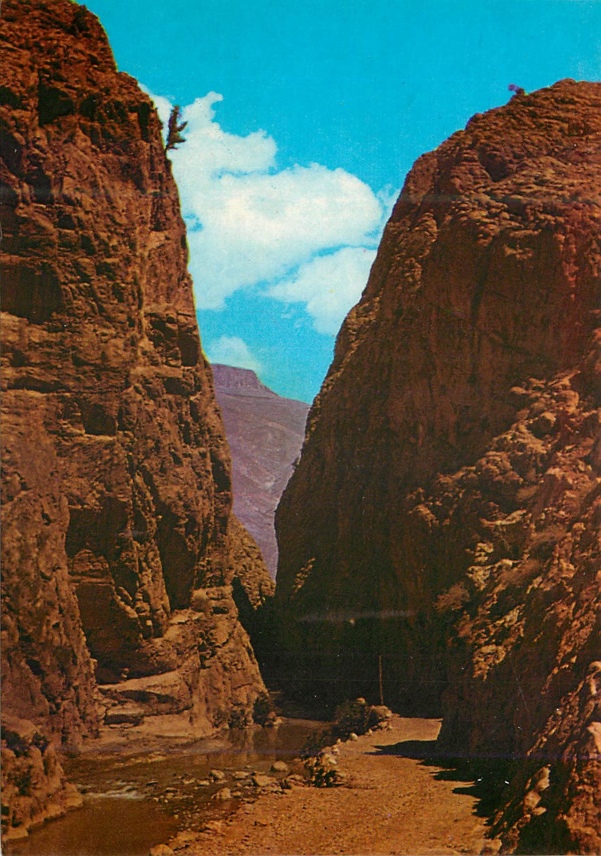 CPM Le Maroc Pittoresque Les gorges du Dades 