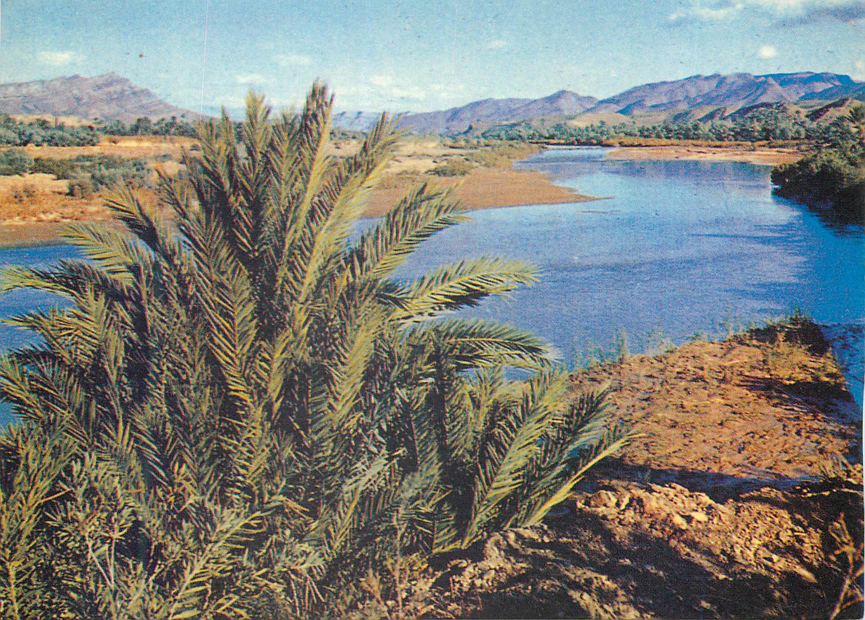 CPM Le Maroc en Lumicolor La Vallee du Draa 