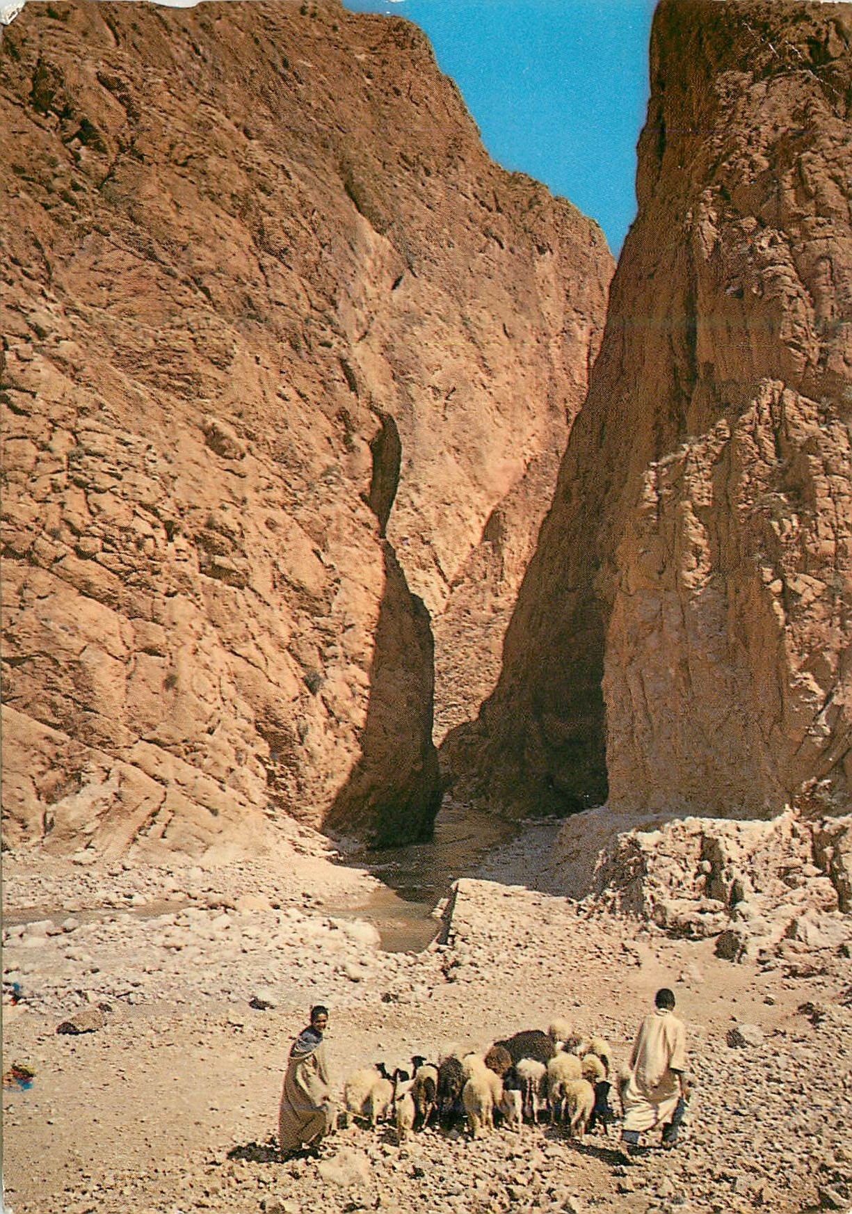 CPM Tinghir Les Gorges du Todra 