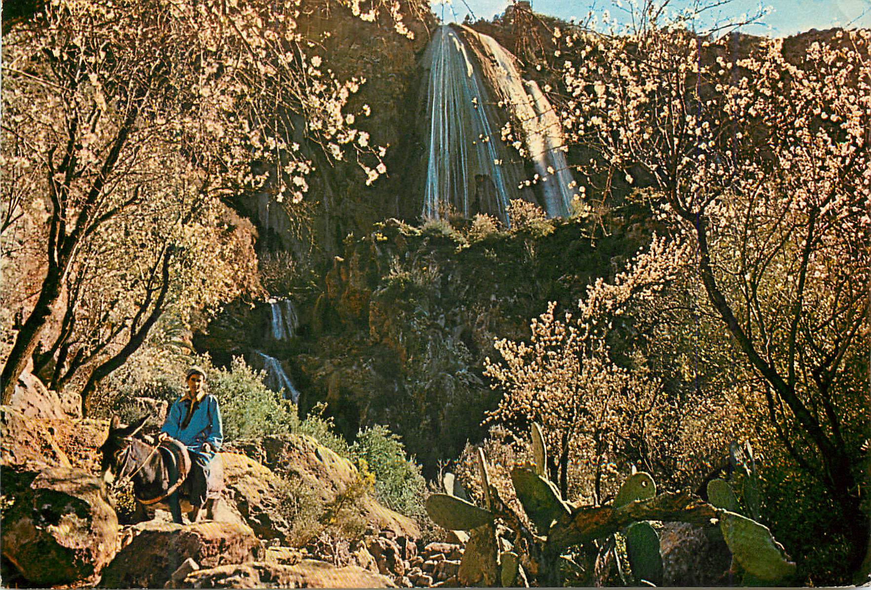 CPM Sud Marocain Agadir Cascade d Immouzer des Idaou Tanane Ane Donkey