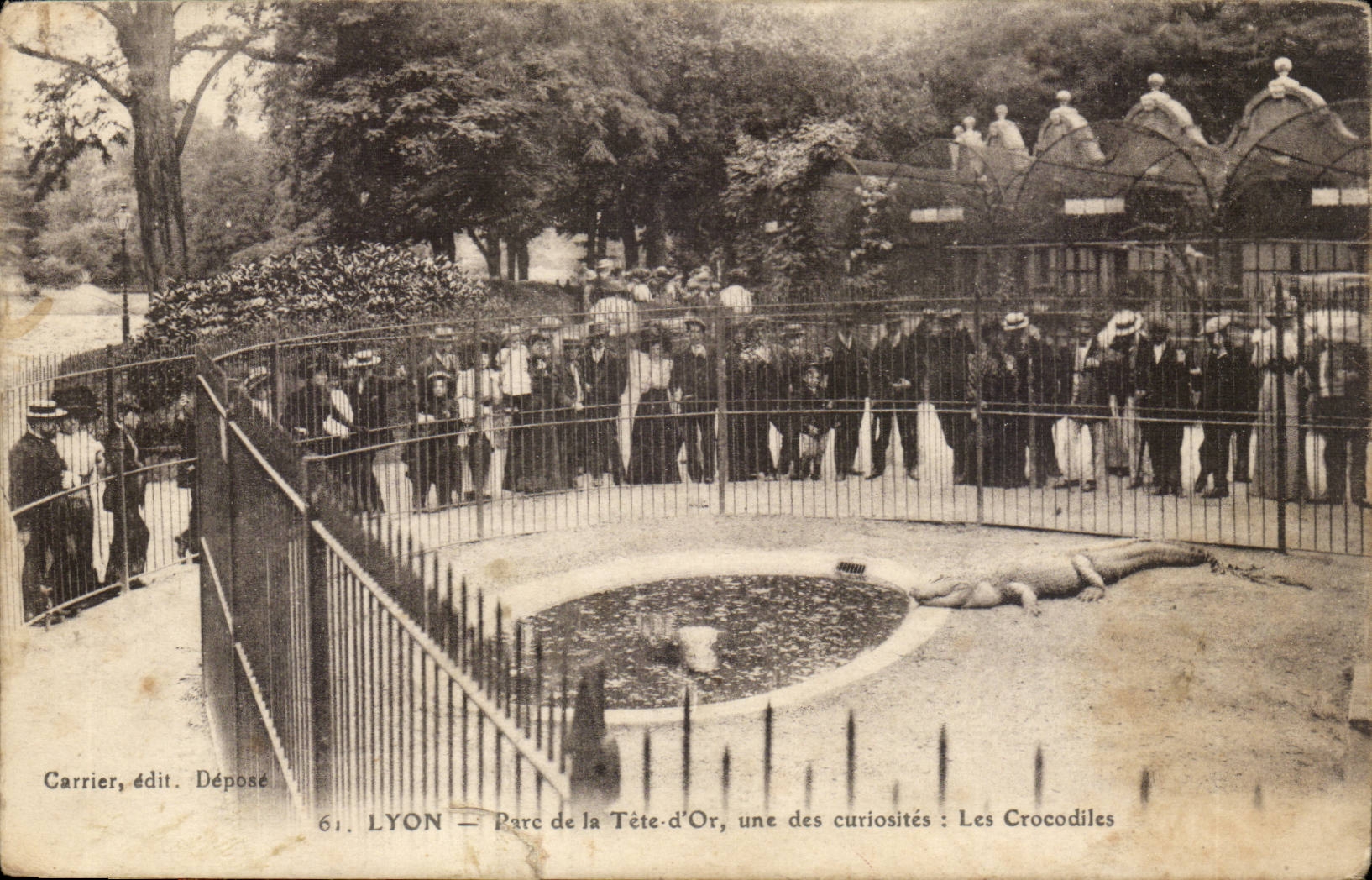 LYON — Parc de la Tête-d'Or, une des curiosités : Les Crocodiles — Carrier, édit. Déposé