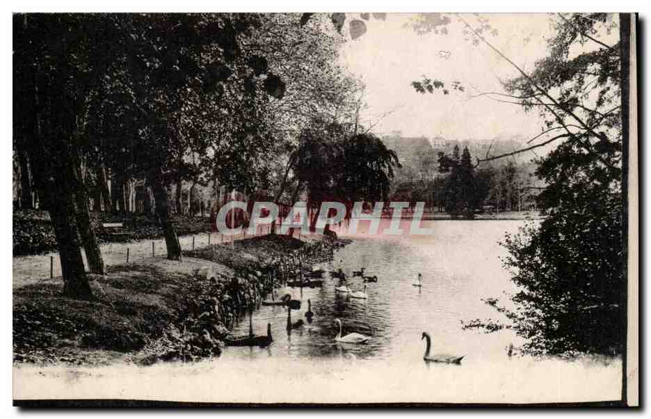 Lyon- Lac avec des Cynes- CPA