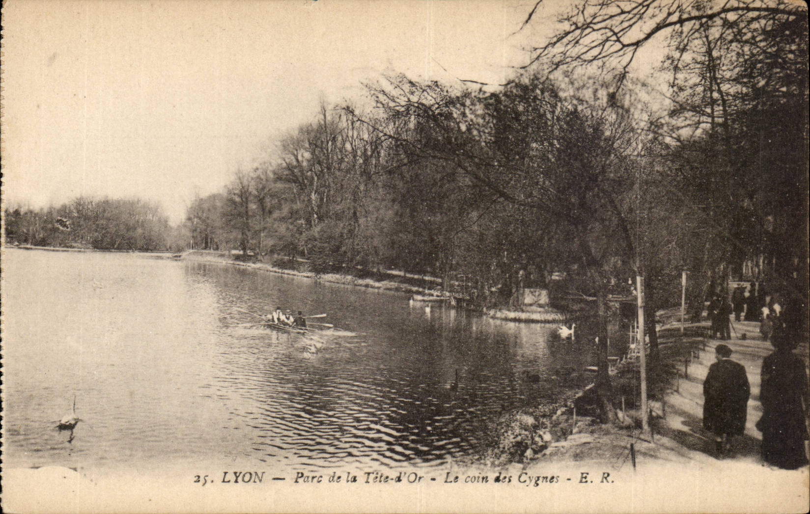 Lyon- Parc de la Tete d'Or- Le coin des Cygnes- CPA
