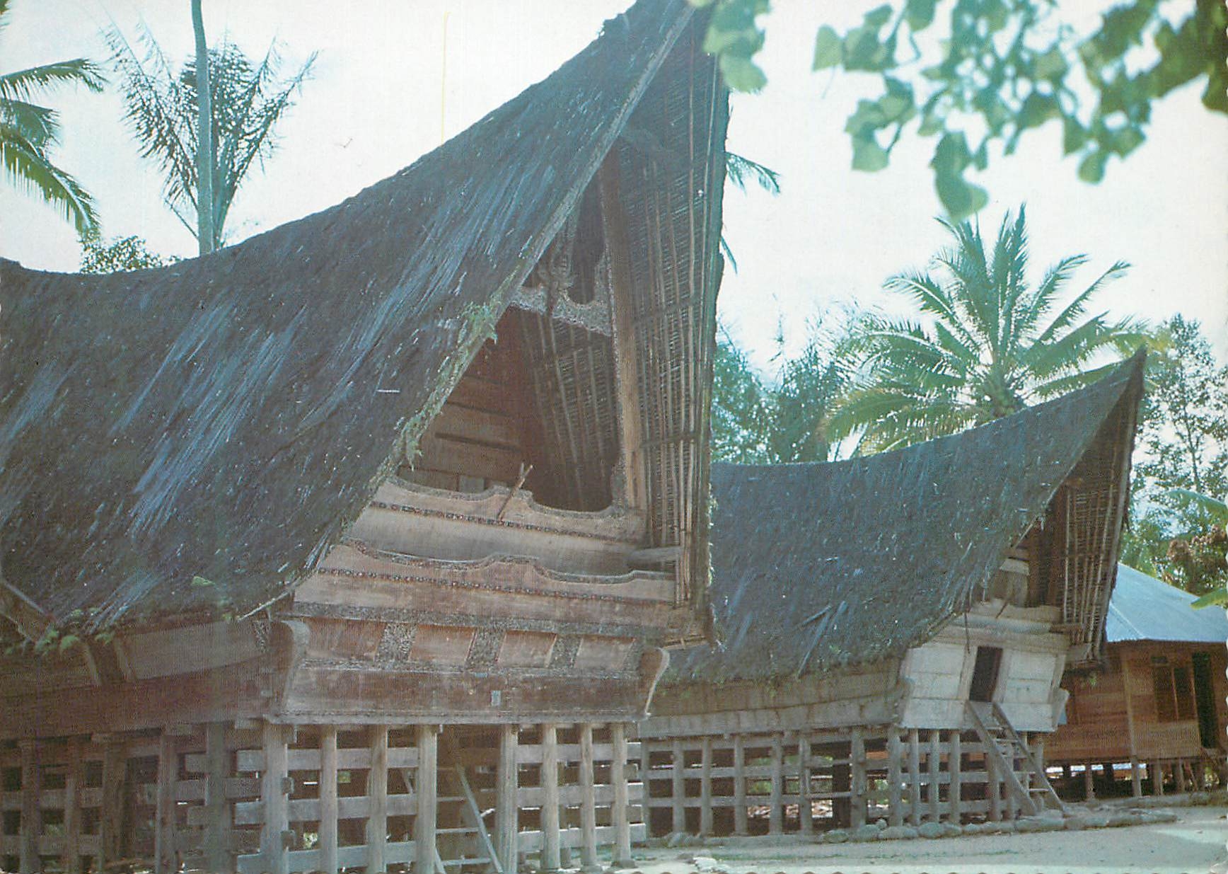 CPM Tomok on Samosir Island The Batak houses 