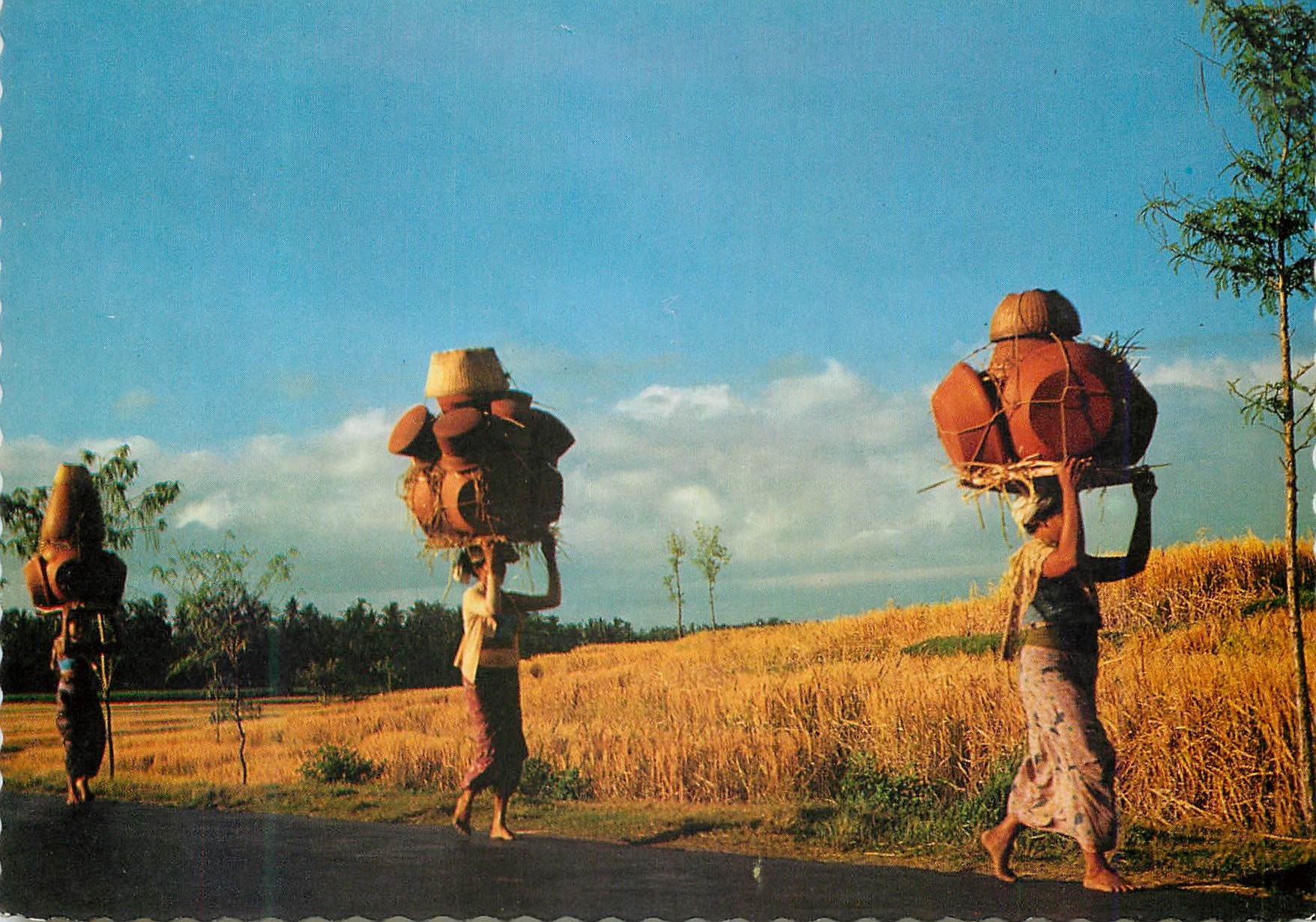 CPM Tipping with heavy burdens the Balinese women cn walk miles away 