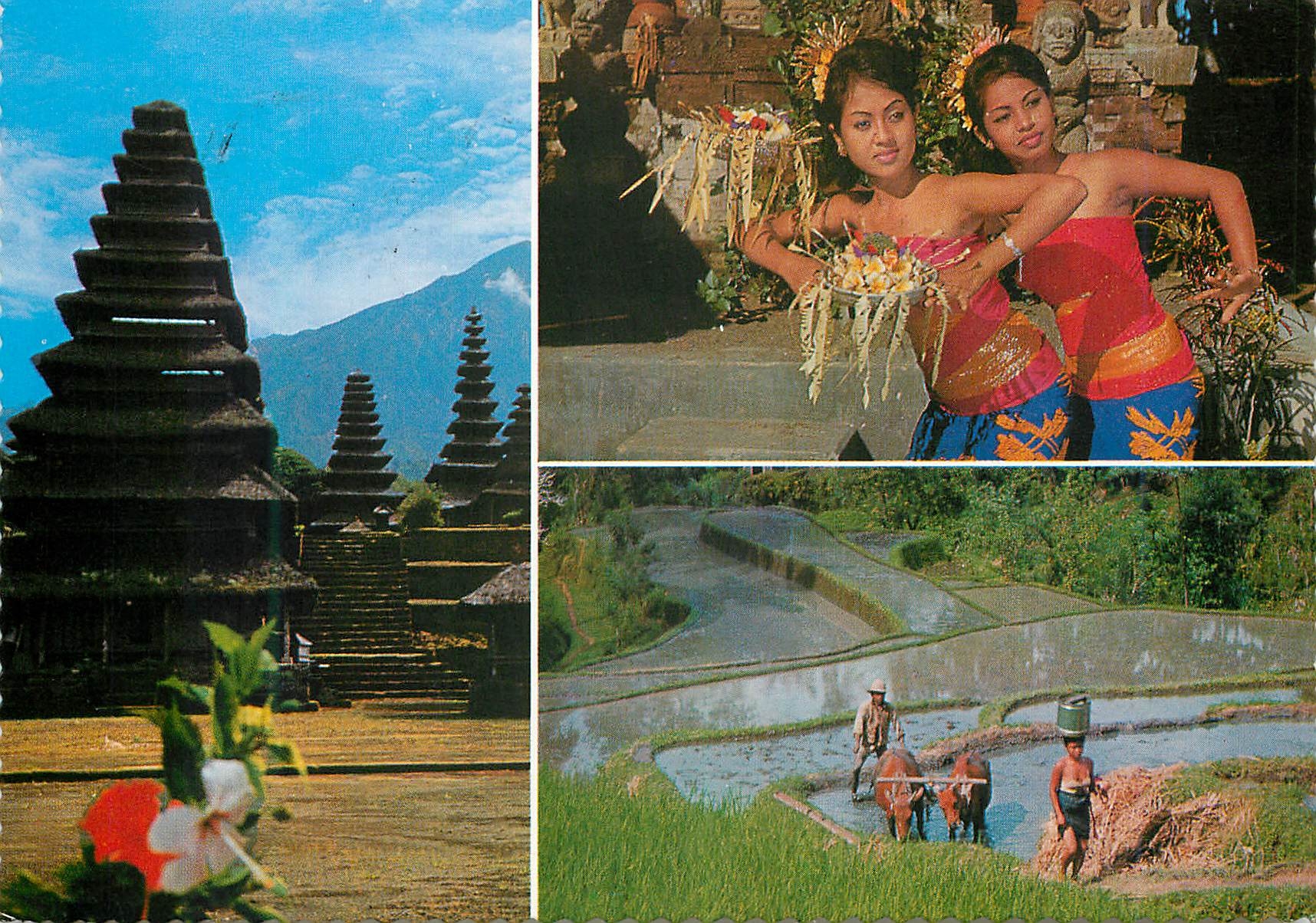 CPM Bali the morning of the world 