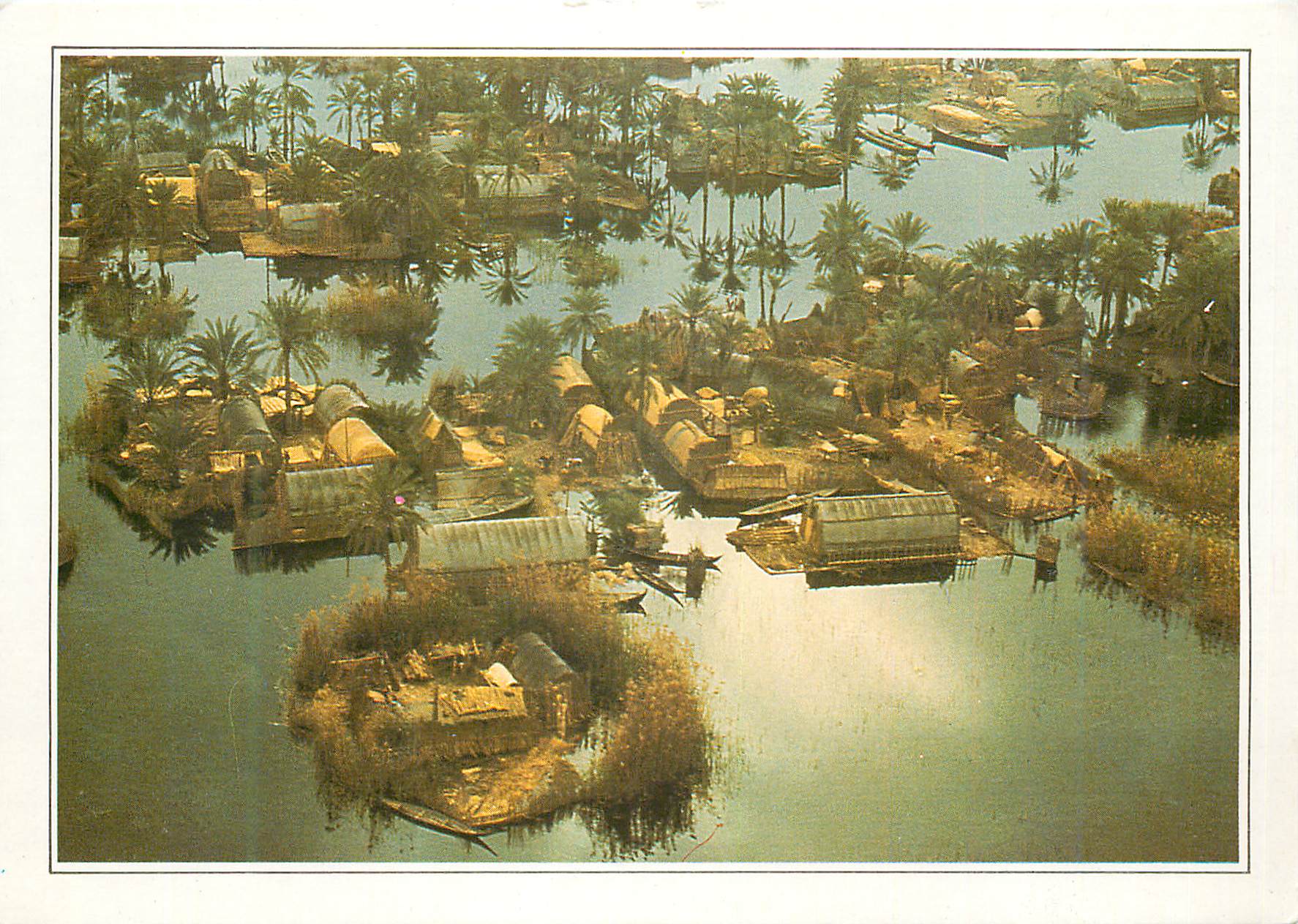 CPM Irak Les Maadans habitants des marais 
