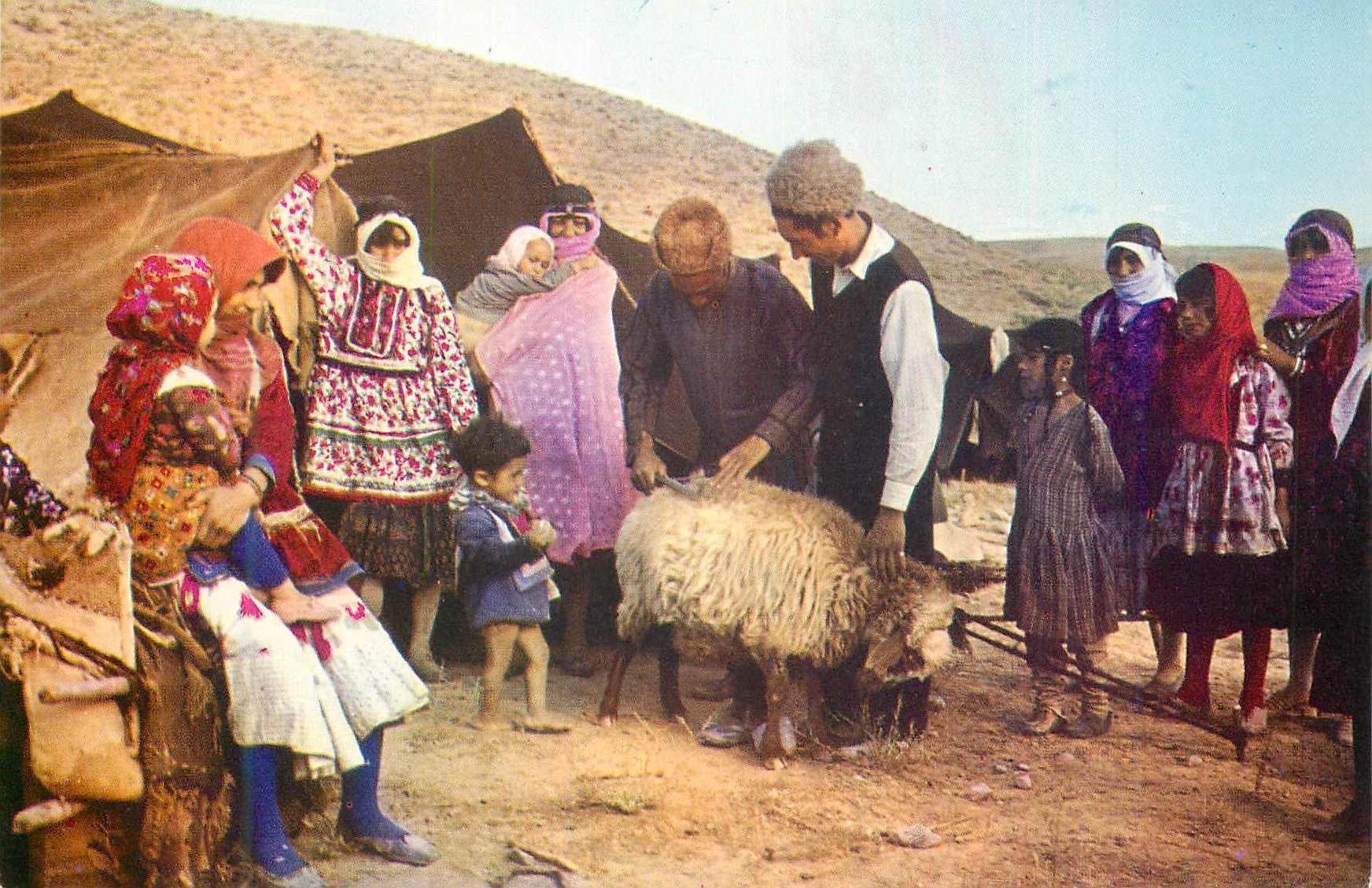 CPM Kord Tent dweller Iran Mouton Folklore