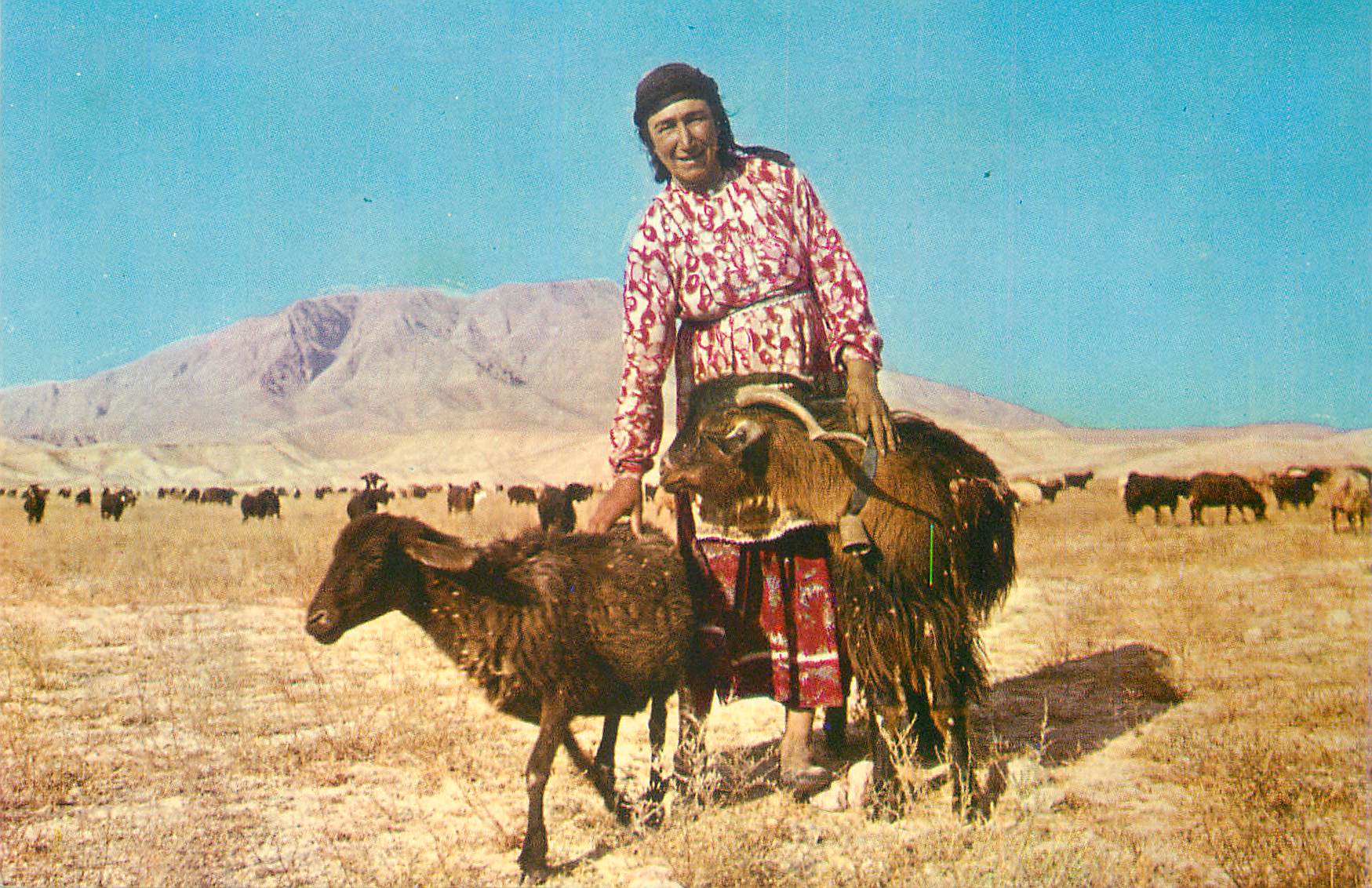 Femme kurde — Iran — éditeur inconnu, n° de série non visible