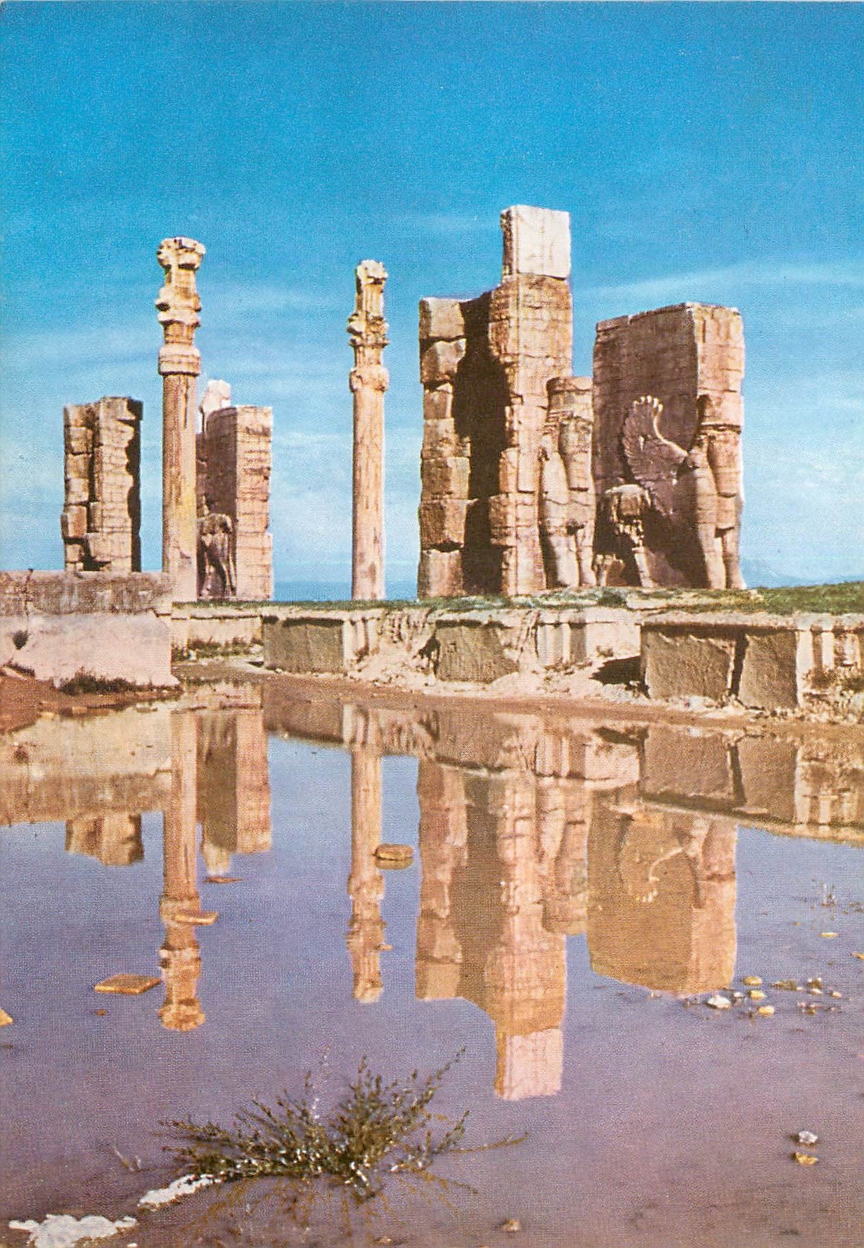 CPM Iran Persepolis le portail de Xerxes apres une onde printainiere 