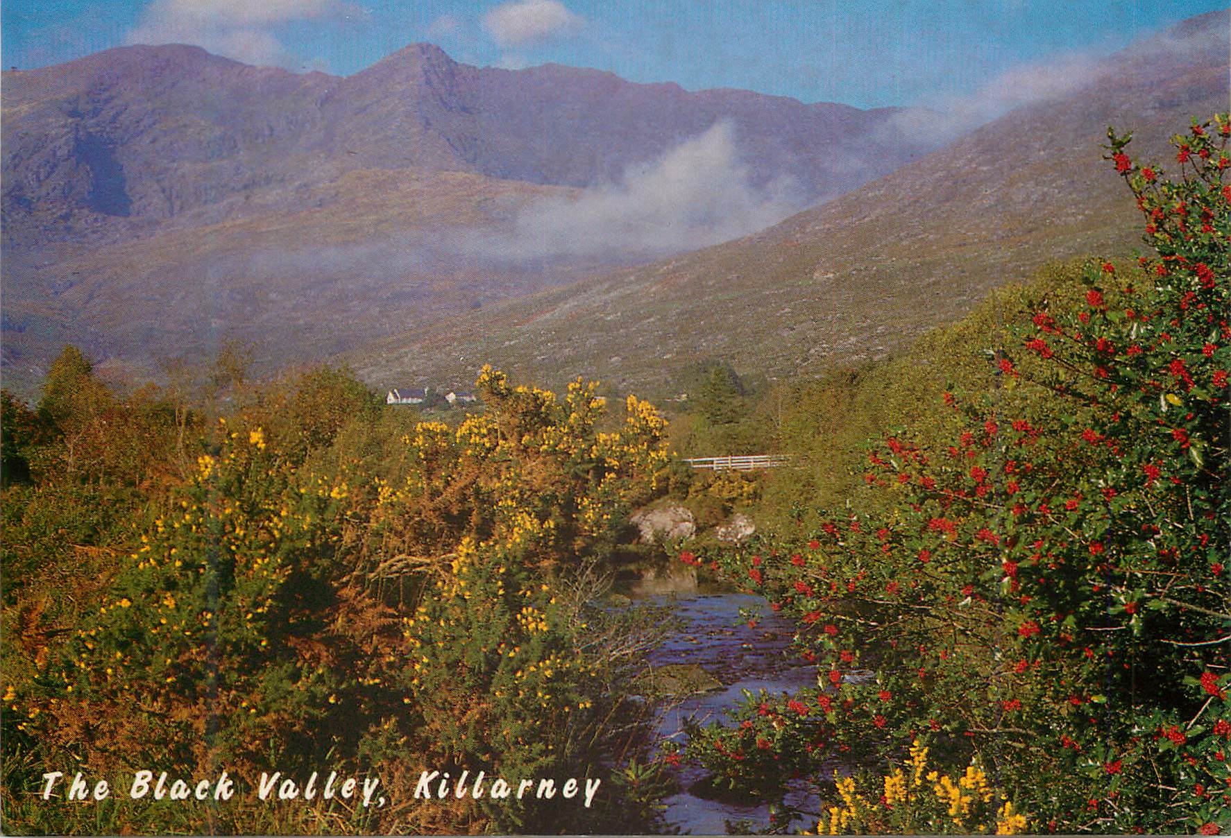 CPM Autumn view in the Black Valley looking north west to Macgillycuddys Reeks Irelands highest mountain range 