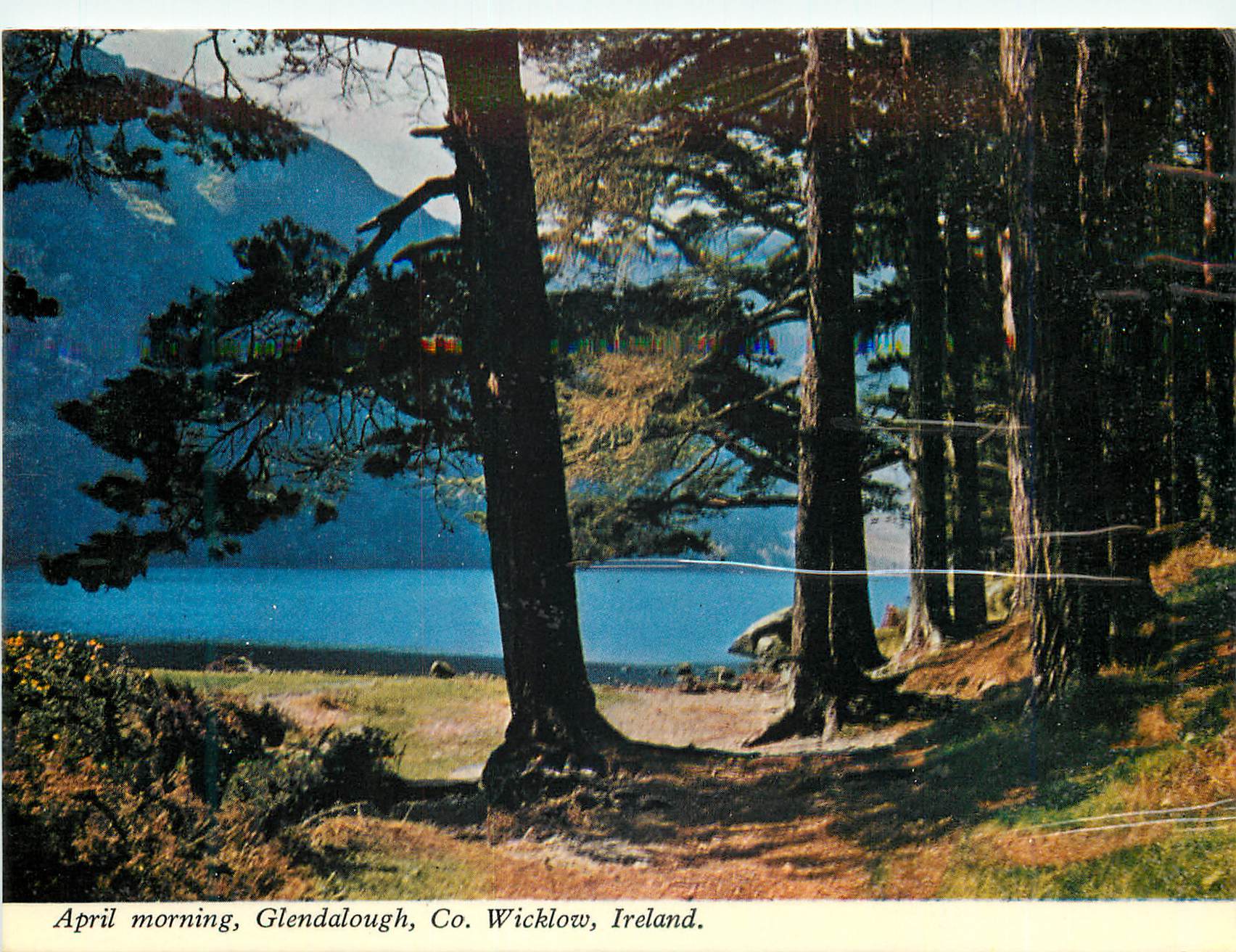 CPM April morning Glendalough Co Wicklow Ireland 