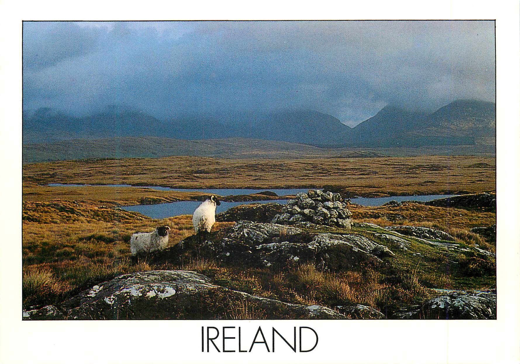 CPM Ireland Le rude paysage de la cote de l ouest de l Irlande 