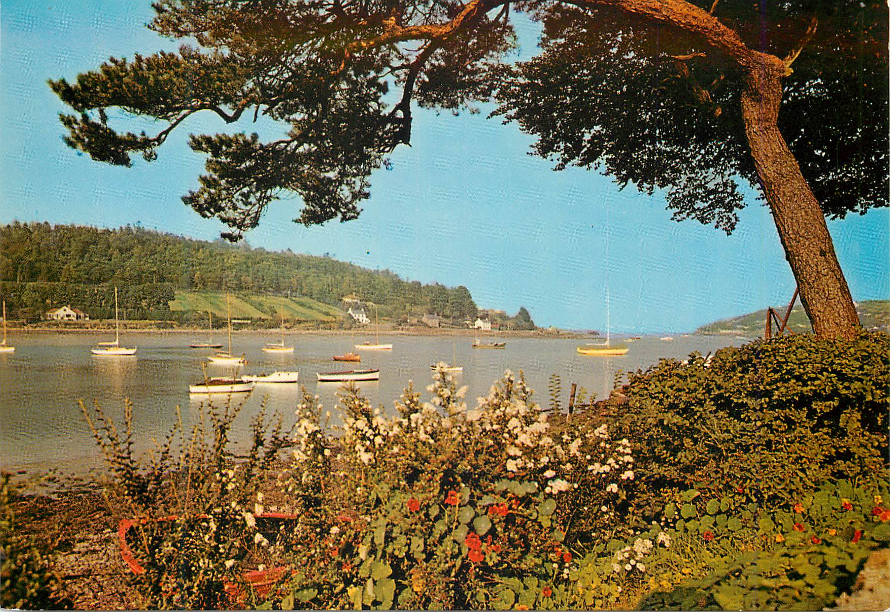 Crosshaven, Co. Cork, Irlande — vue du port avec bateaux — éditeur N.P.O. Ltd. & NPO DEXTER