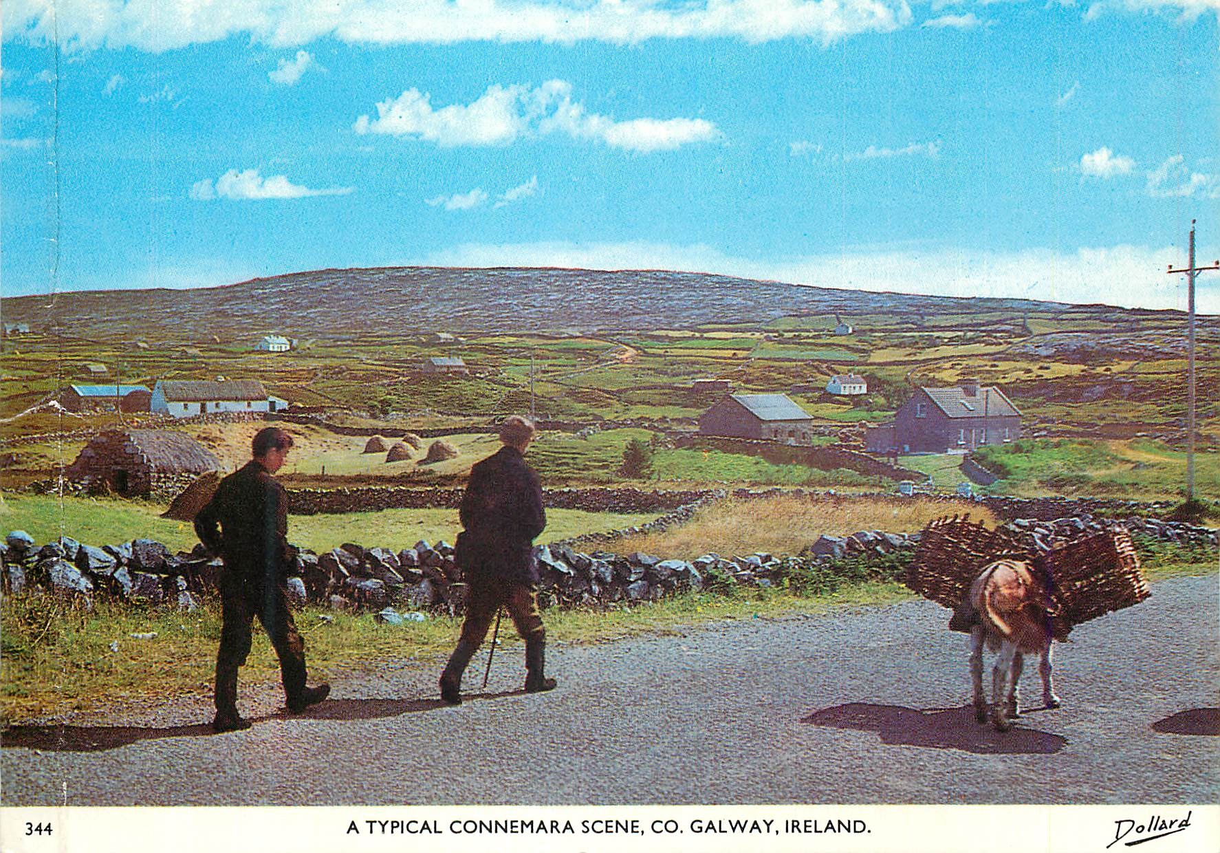 CPM A typical Connemara Scene Co Galway Ireland Ane Donkey