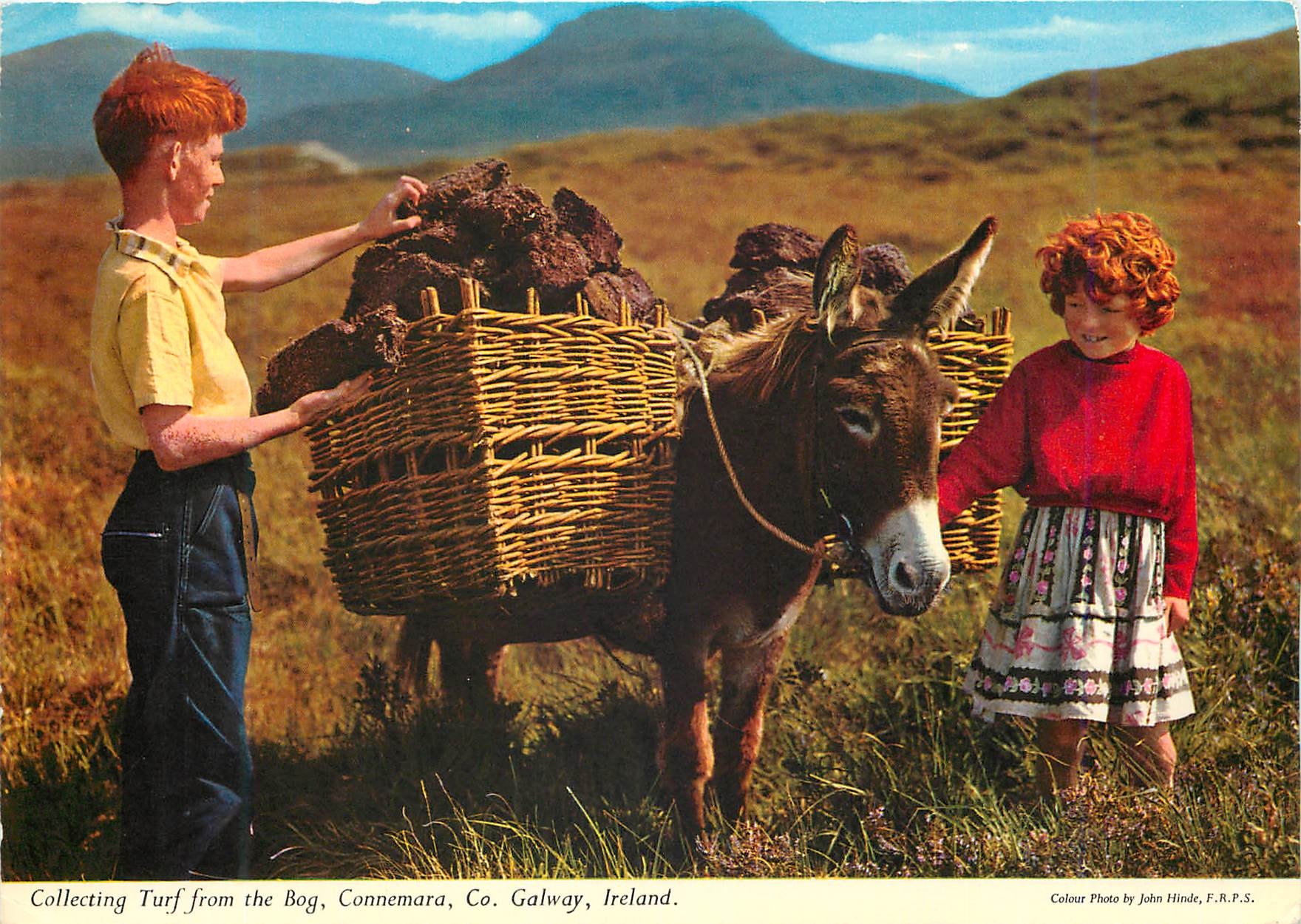 CPM Collecting turf from the Bog Connemara Co Galway Ireland Ane Donkey