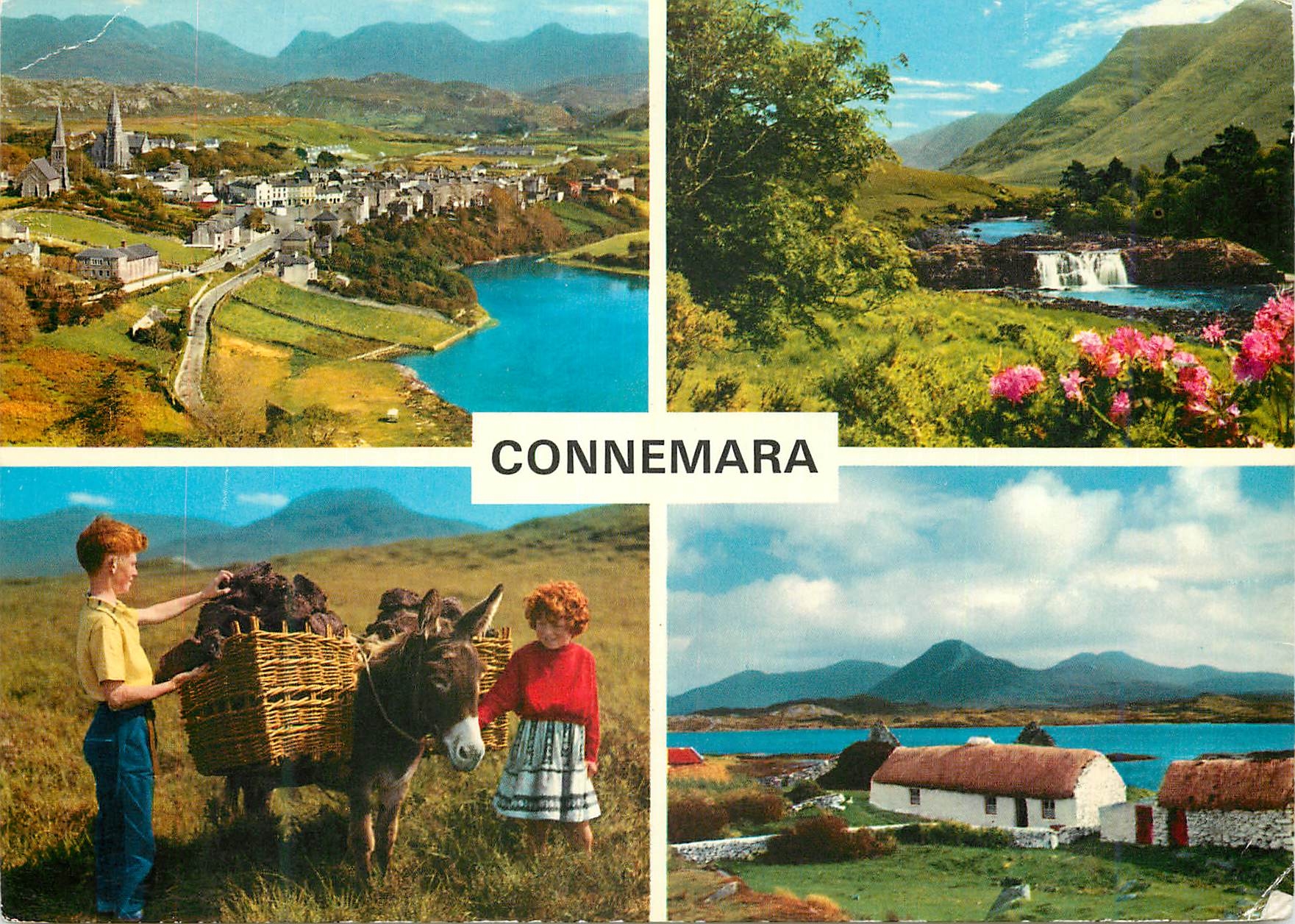 CPM Connemara Co Galway This is the name given to the western portion of Co Galway Ane Donkey