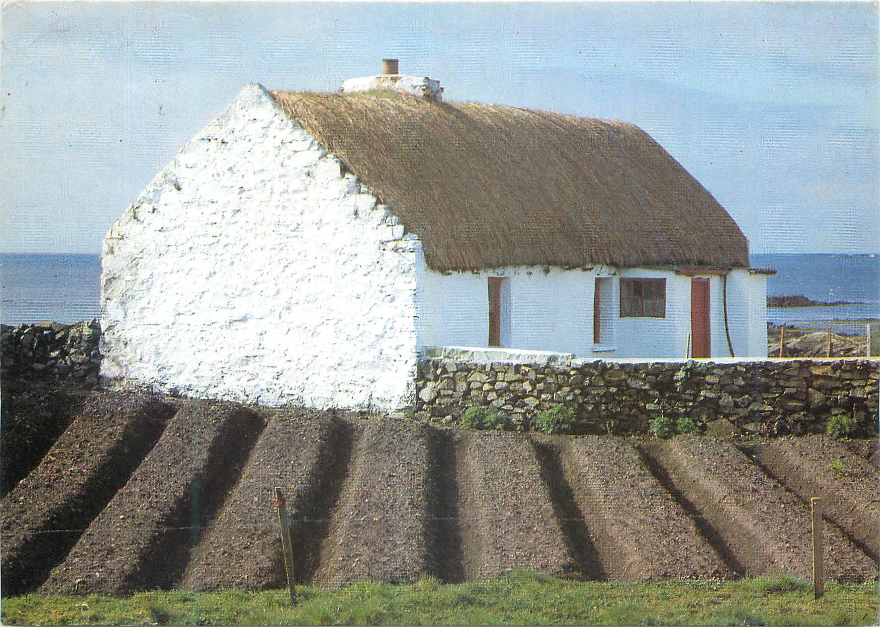 CPM Irish Thatched Cottage and Potato lazy beds 