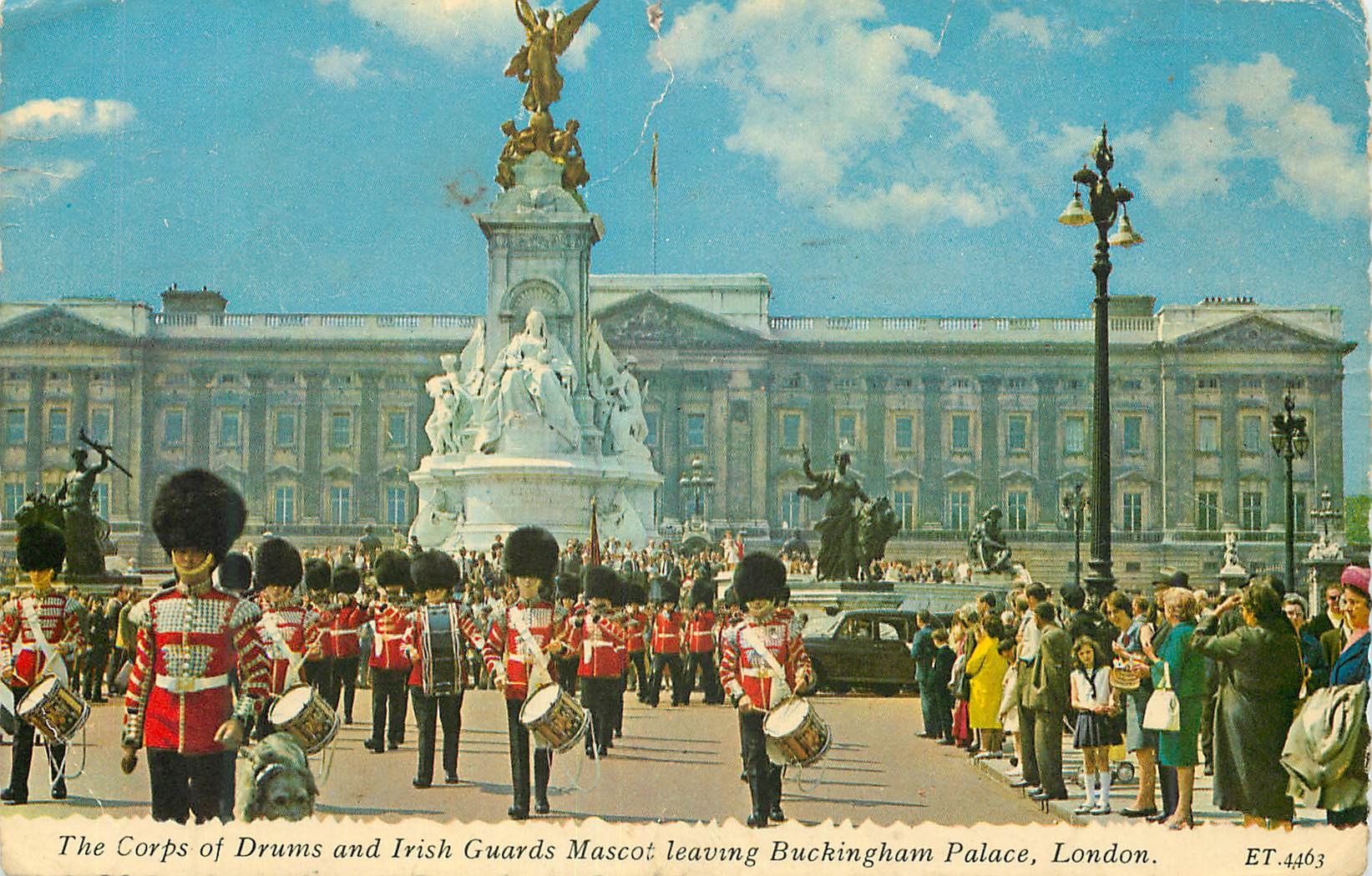 CPM The Corps of Drums and Irish Guards Mascot leaving Buckingham Palace London  Militaria