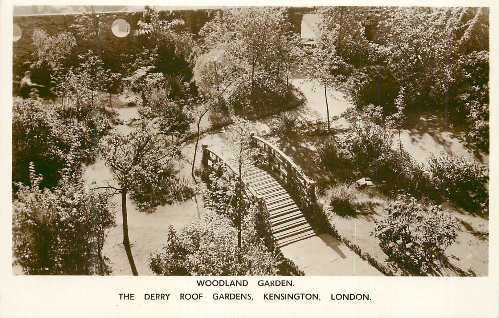 CPM Woodland Garden The Derry Roof Gardens Kensington London 
