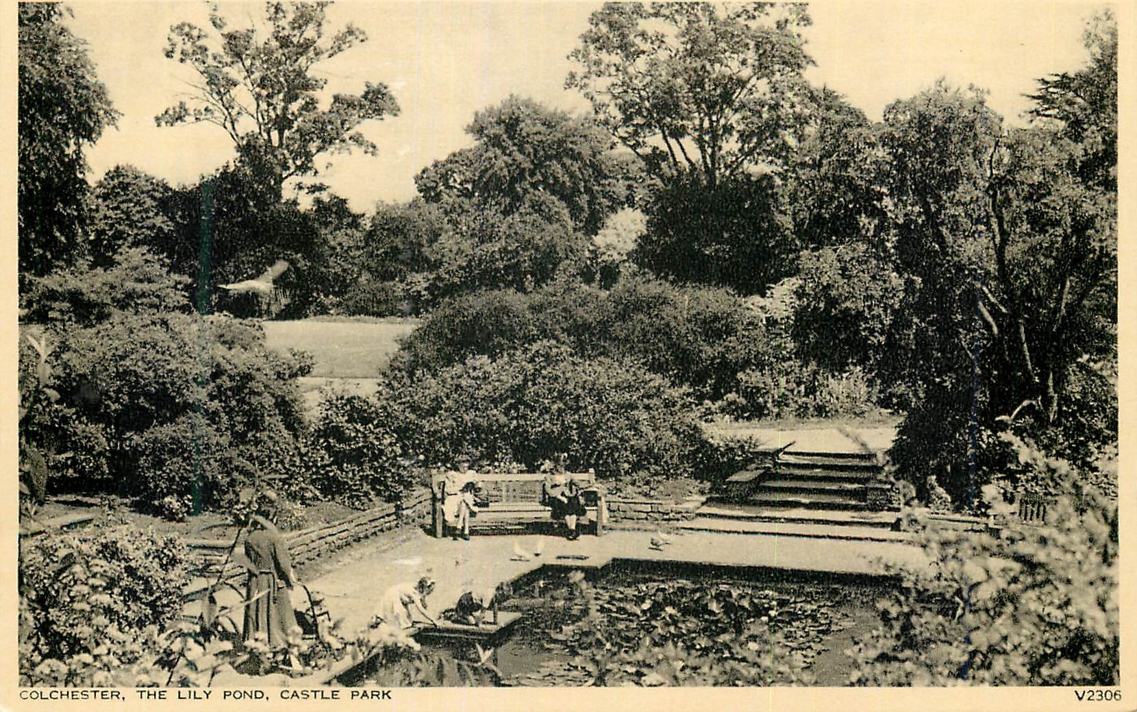 CPM Colchester The Lily Pond Castle Park 