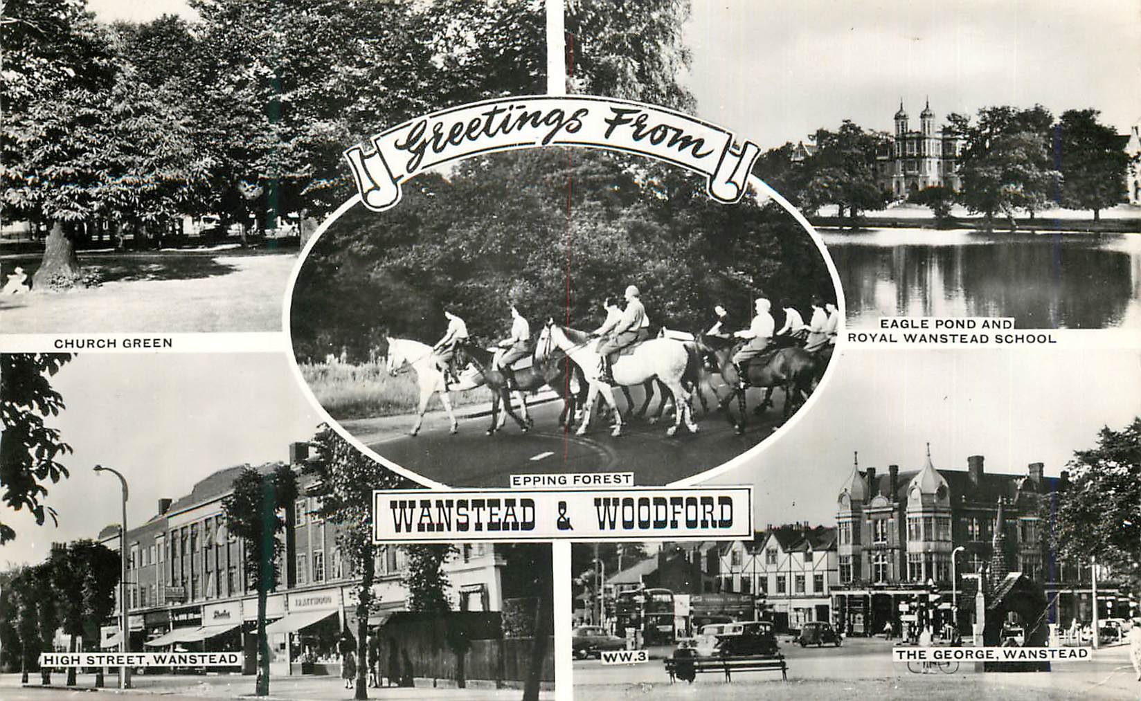 CPM Greetings from Wanstead Woodford Chevaux