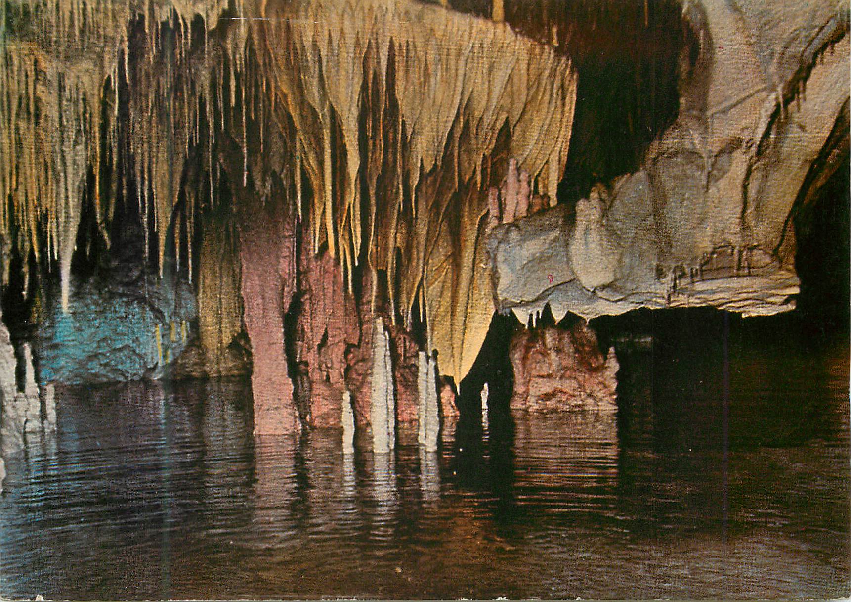CPM Grece Les Grotte de Mani (La Plante de Posseidon)