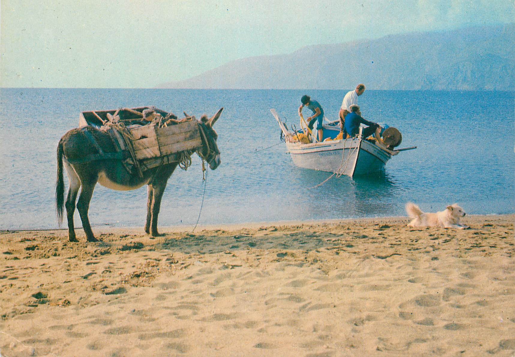CPM Grece Pittoresque Bord de la Mer Ane Donkey Bateau Peche