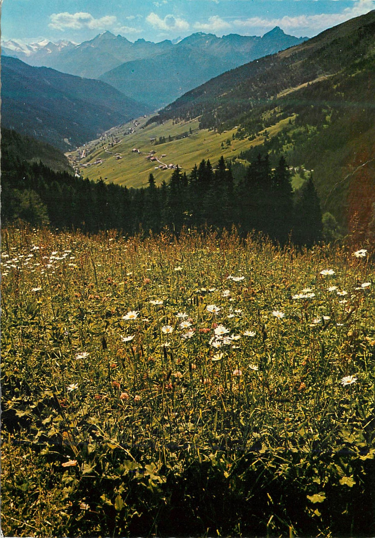 CPM Navistal Tirol Stubaier Gletscher Habicht Series