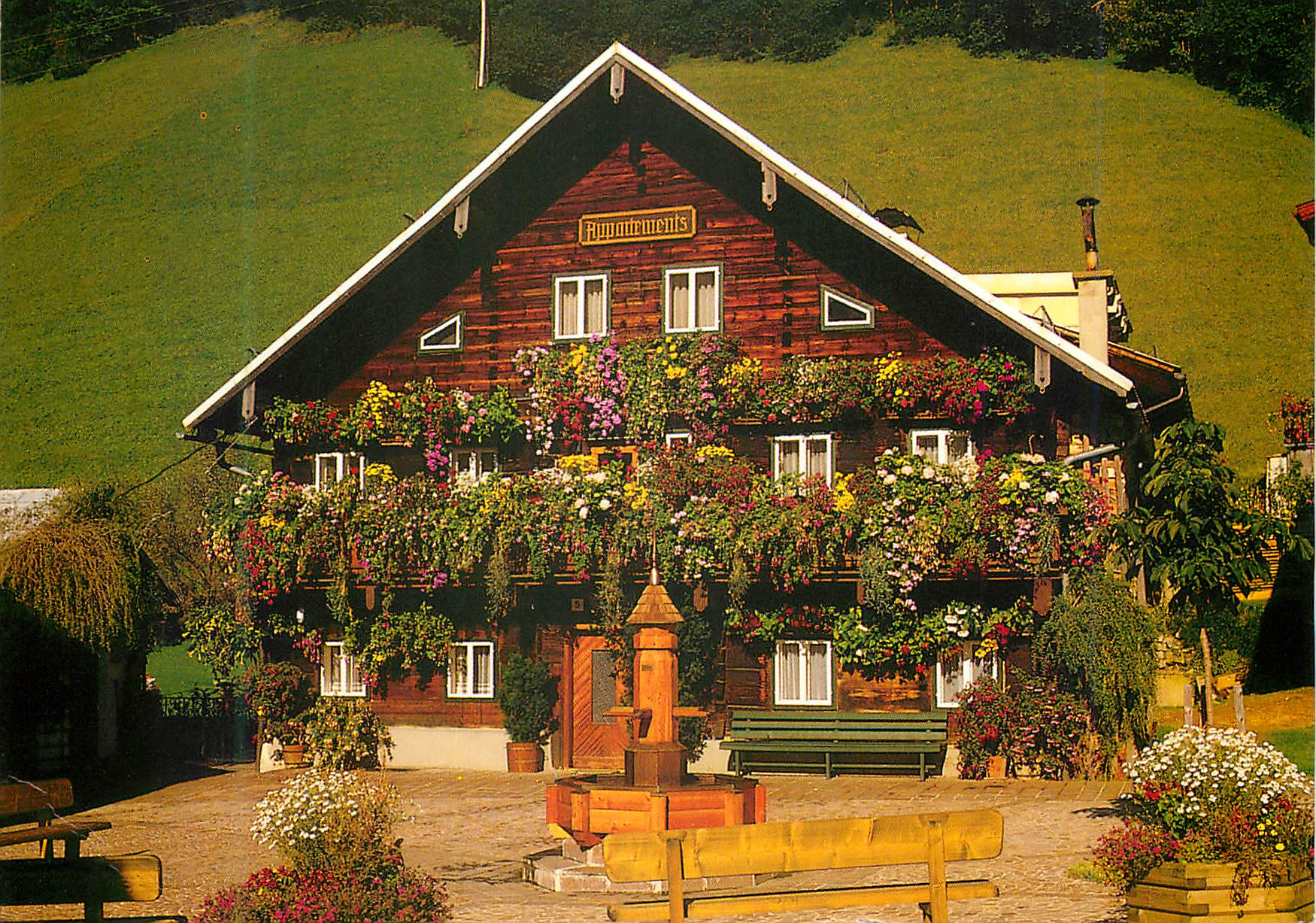 CPM Blumenhaus in Dienten am Hochkonig Land Salzburg
