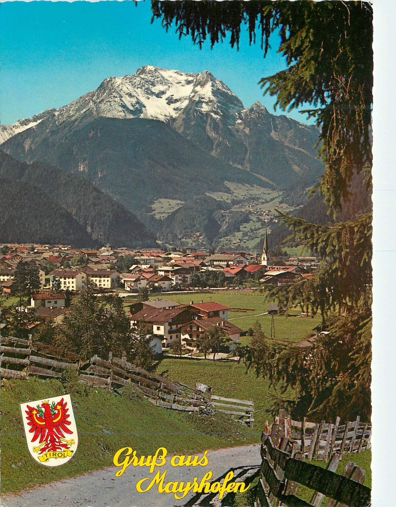 CPM A 6290 Mayrhofen Zillertal Blick Grunberg 2867m