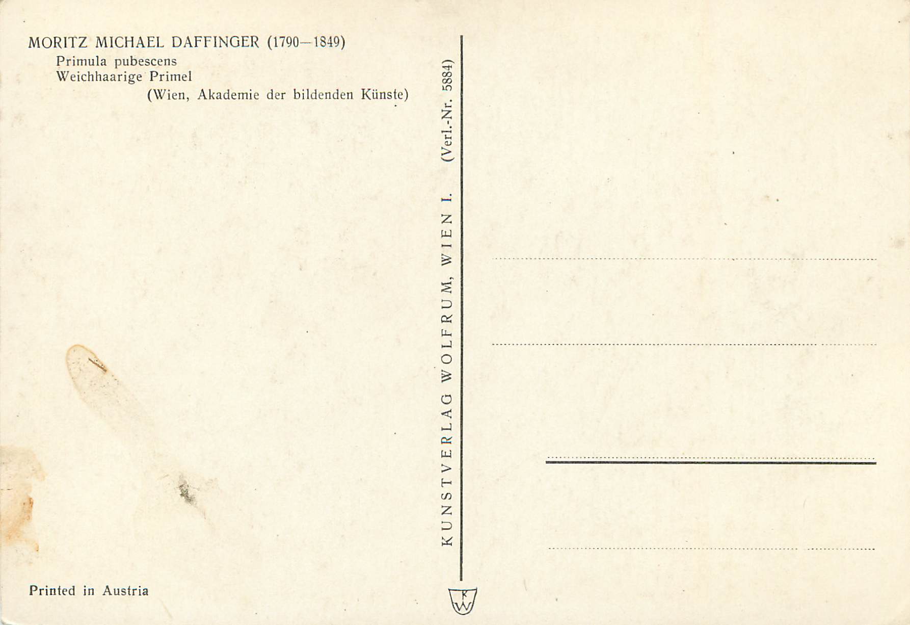 CPM Moritz Michael Daffinger (1790 1849) Primula Pubescens Weichhaarige Primel (wein Akademie der Bildenden Kunste) — Rückseite