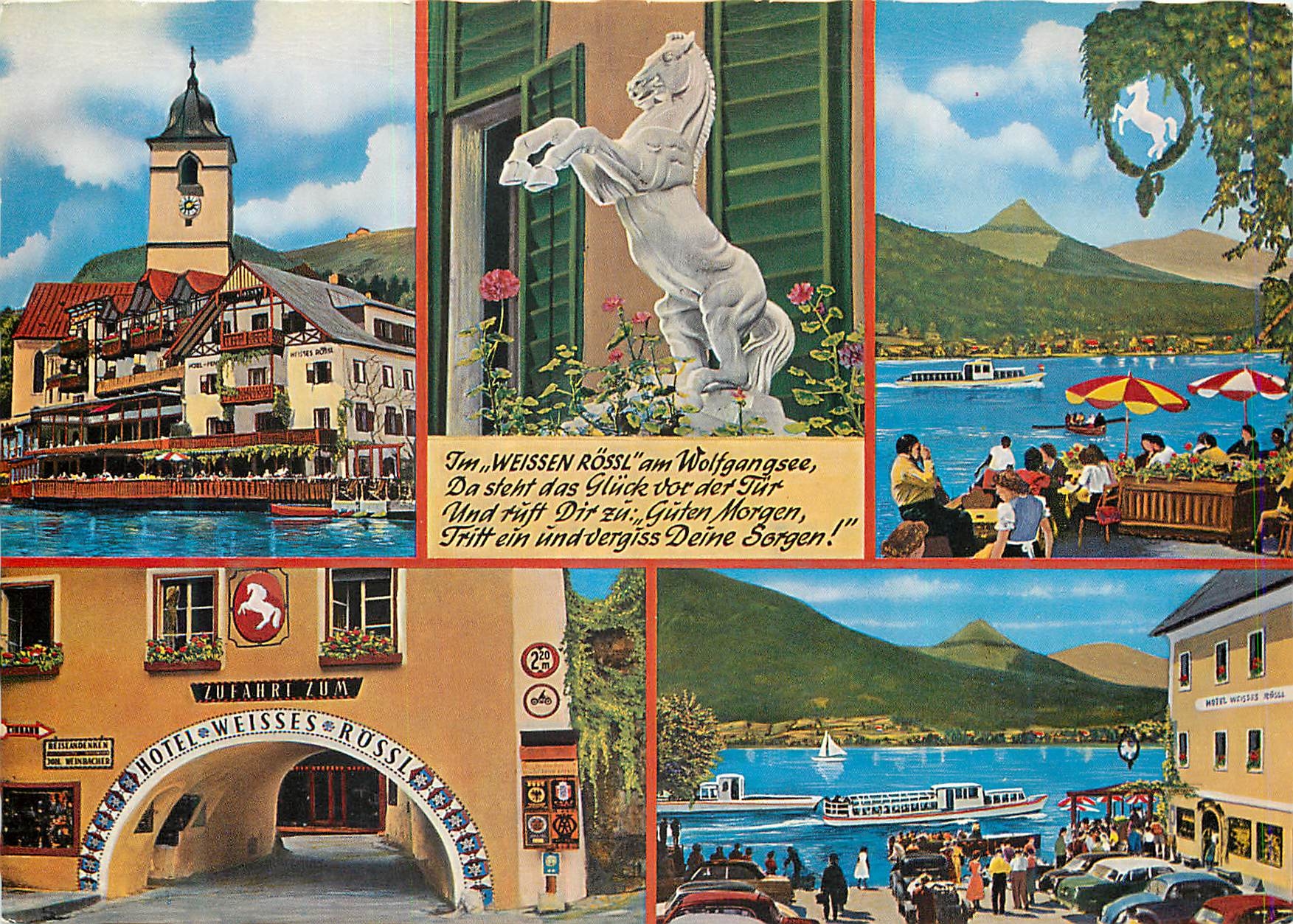 CPM Im weissen Rosil am walfgangree Cheval