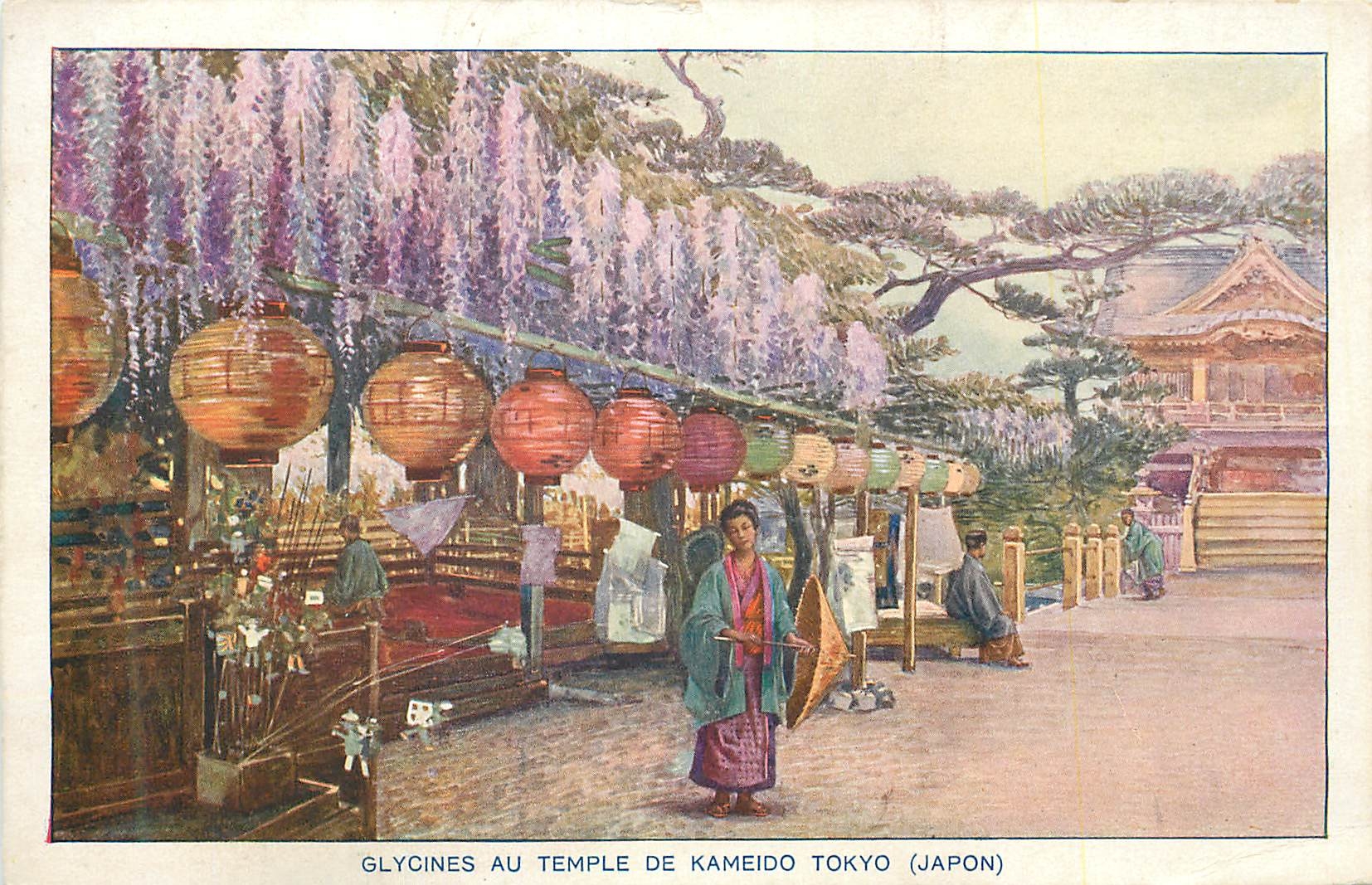 CPM Glycines au Temple de Kameido Tokyo (Japon)