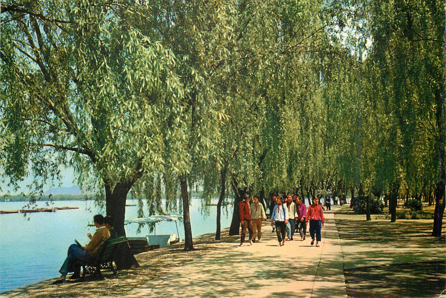 CPM Le Lac de L'Ouest Le Parc des Loriots Gazouiilant Parmi les Saules