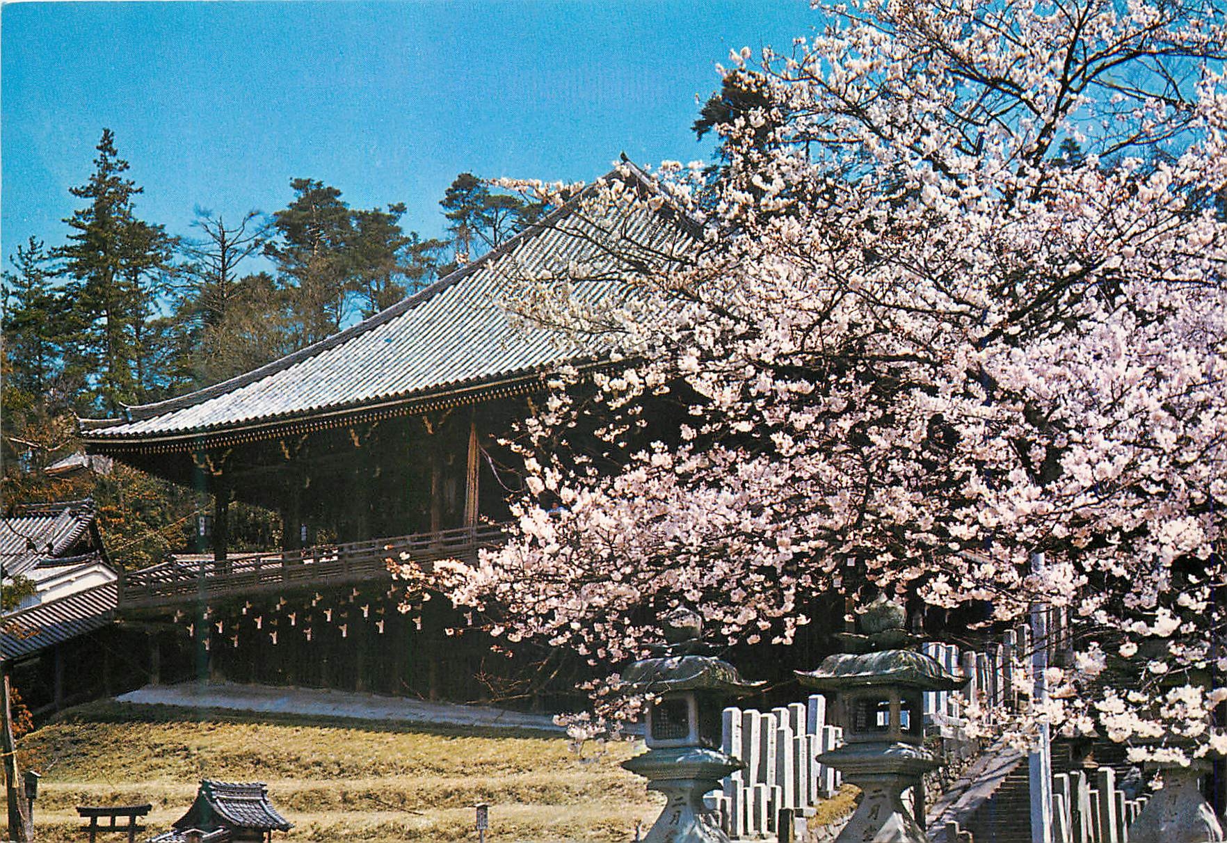 CPM Cultural Properties Niga Tsudo Temple Todaui Temple