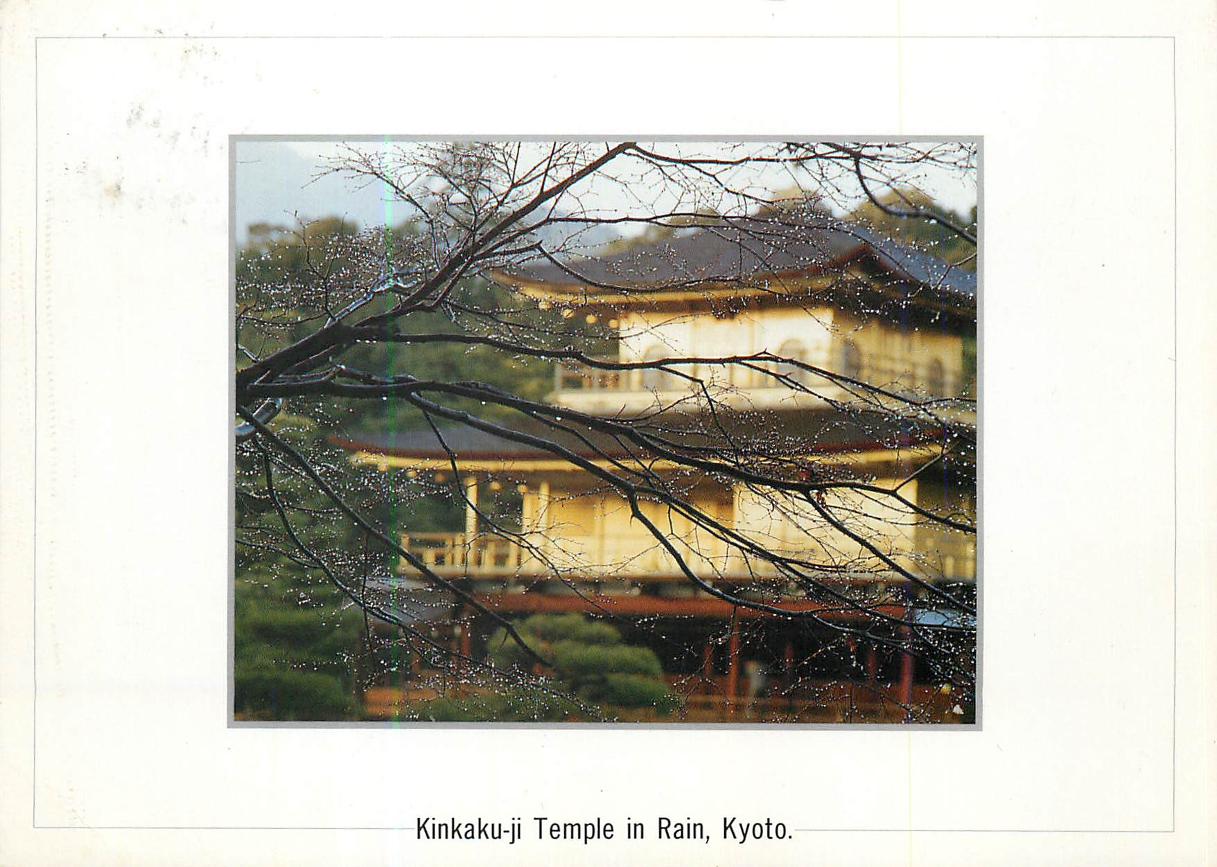 CPM Kinkakuji Temple in Rain Kyoto