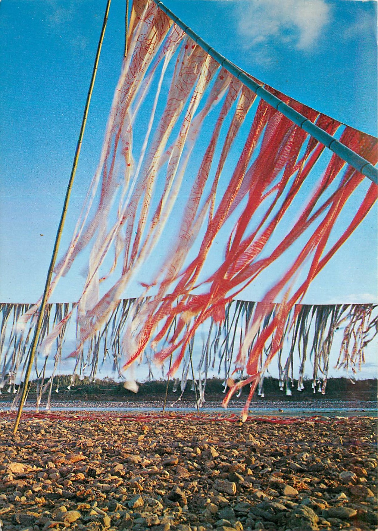 CPM The Best Dyeing of Kimono