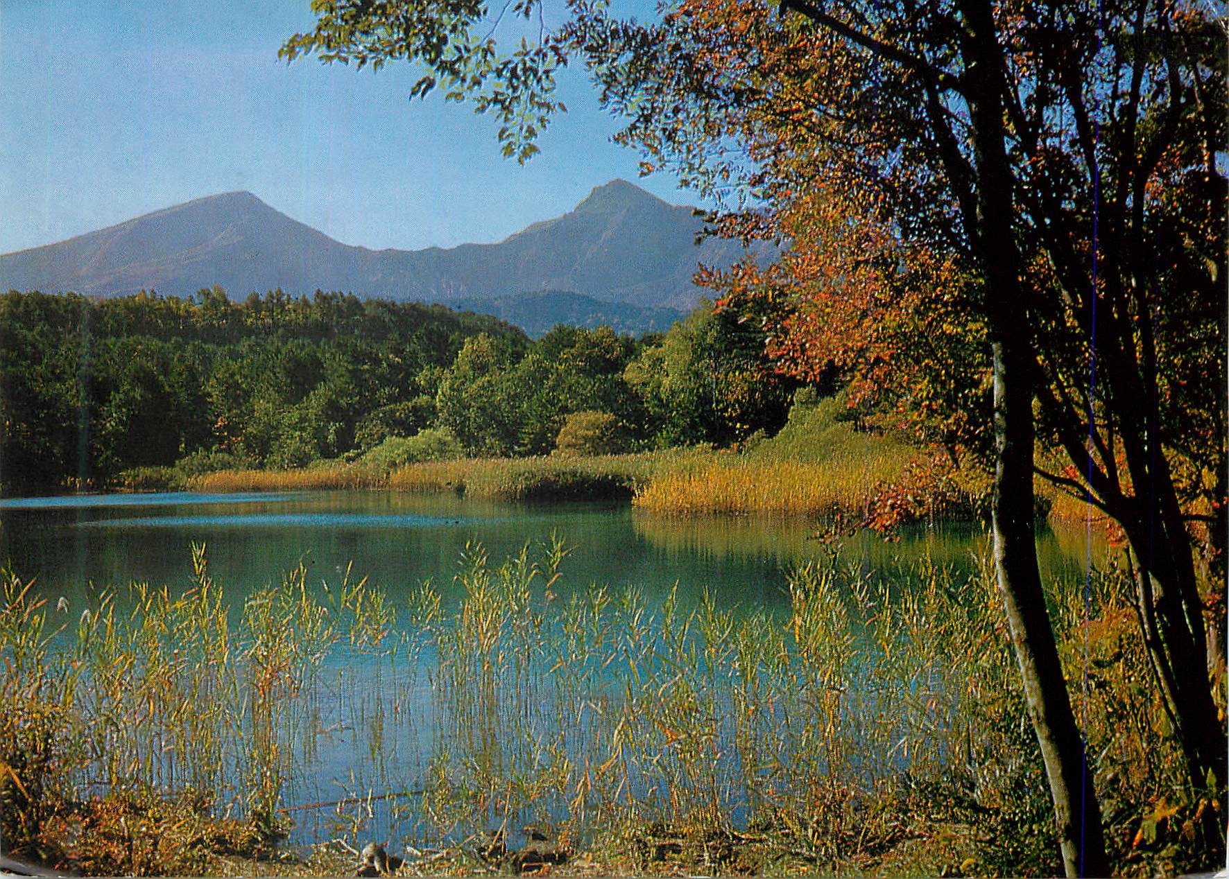 CPM Beauty of Ruri Swamp