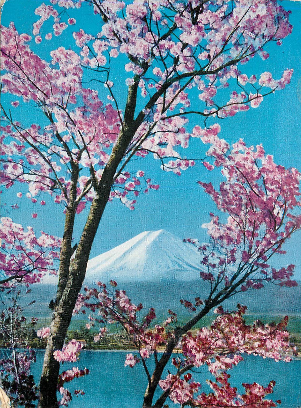 CPM Spring at the Foot of Mt Fuji They agree to Say Wonderful