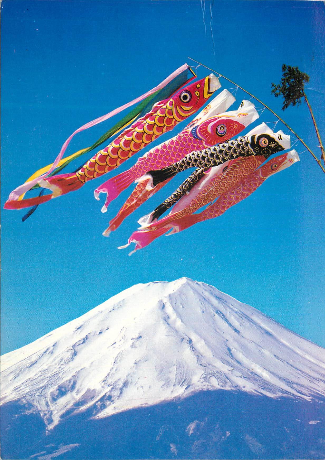 CPM Les Koinobori Tous les Poissons Volants en Papie a Cote du Monte de Fuji