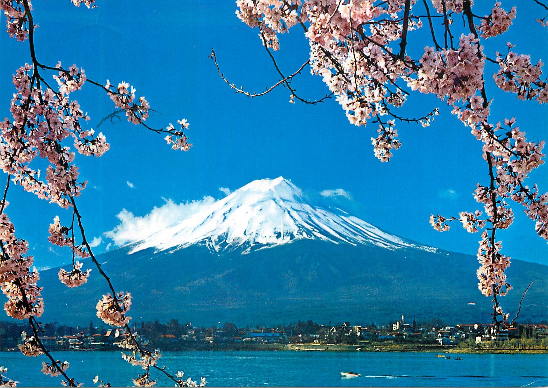 CPM Mt Fuji and Cherry Bucssoms The Symbols of Japan