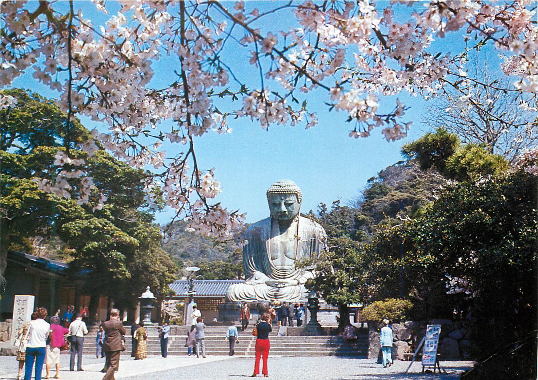 CPM le grand Bouddha de Kamakura Japan