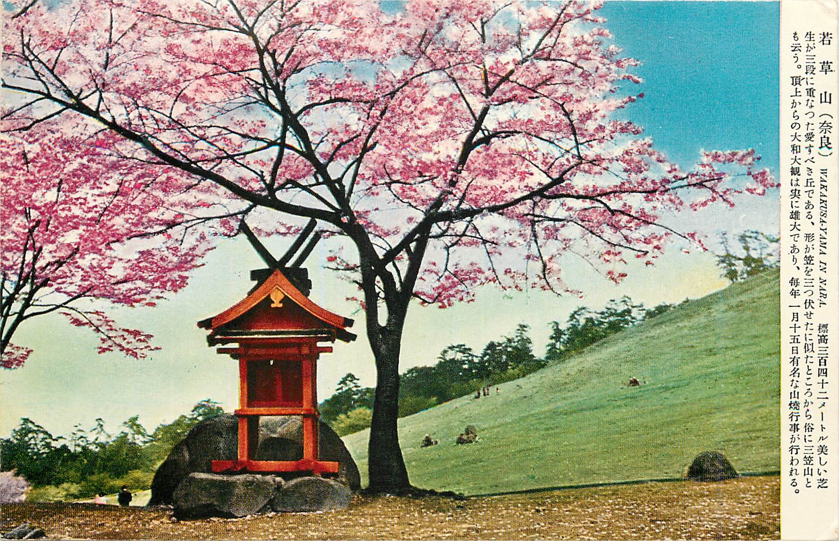 CPM Yama in Nara