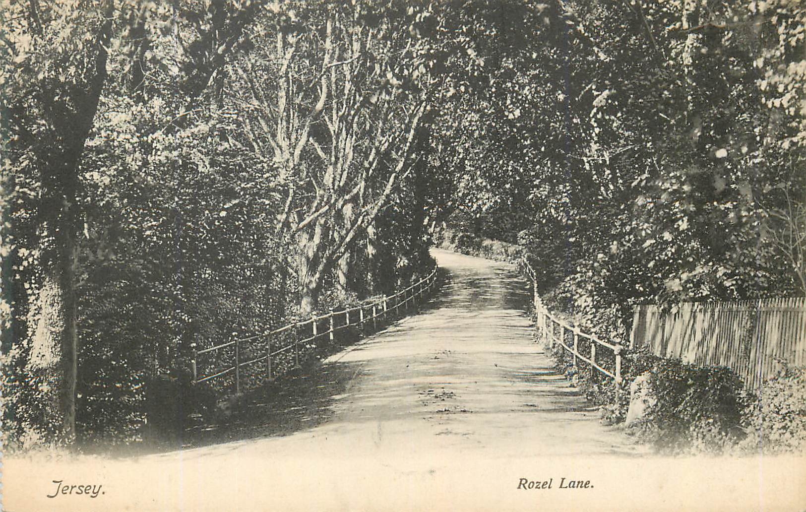 CPA Rozel Lane Jersey