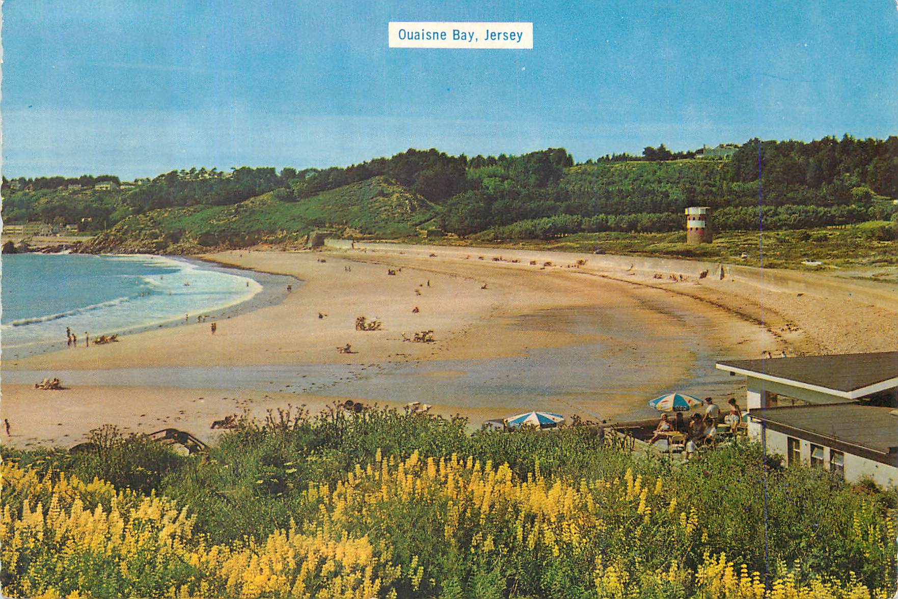 CPM Ouaisne Bay Jersey