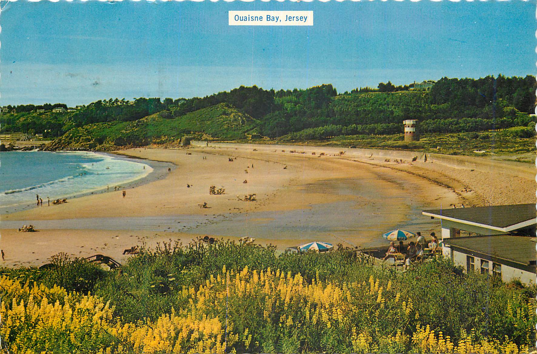 CPM Ouaisne Bay Jersey
