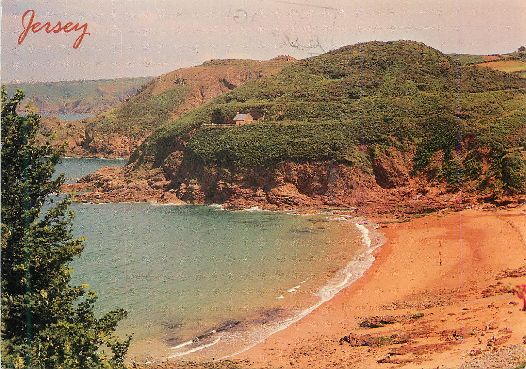 CPM Greetings from Greve de Leco Jersey